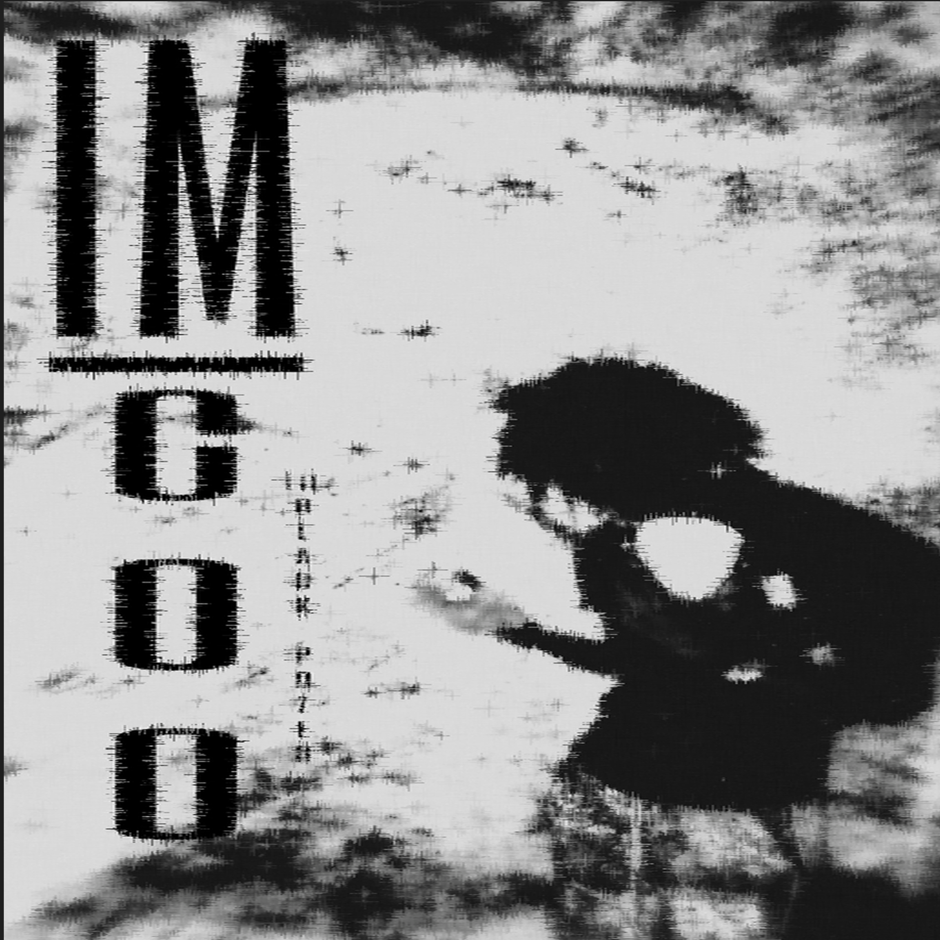 IM COO artwork