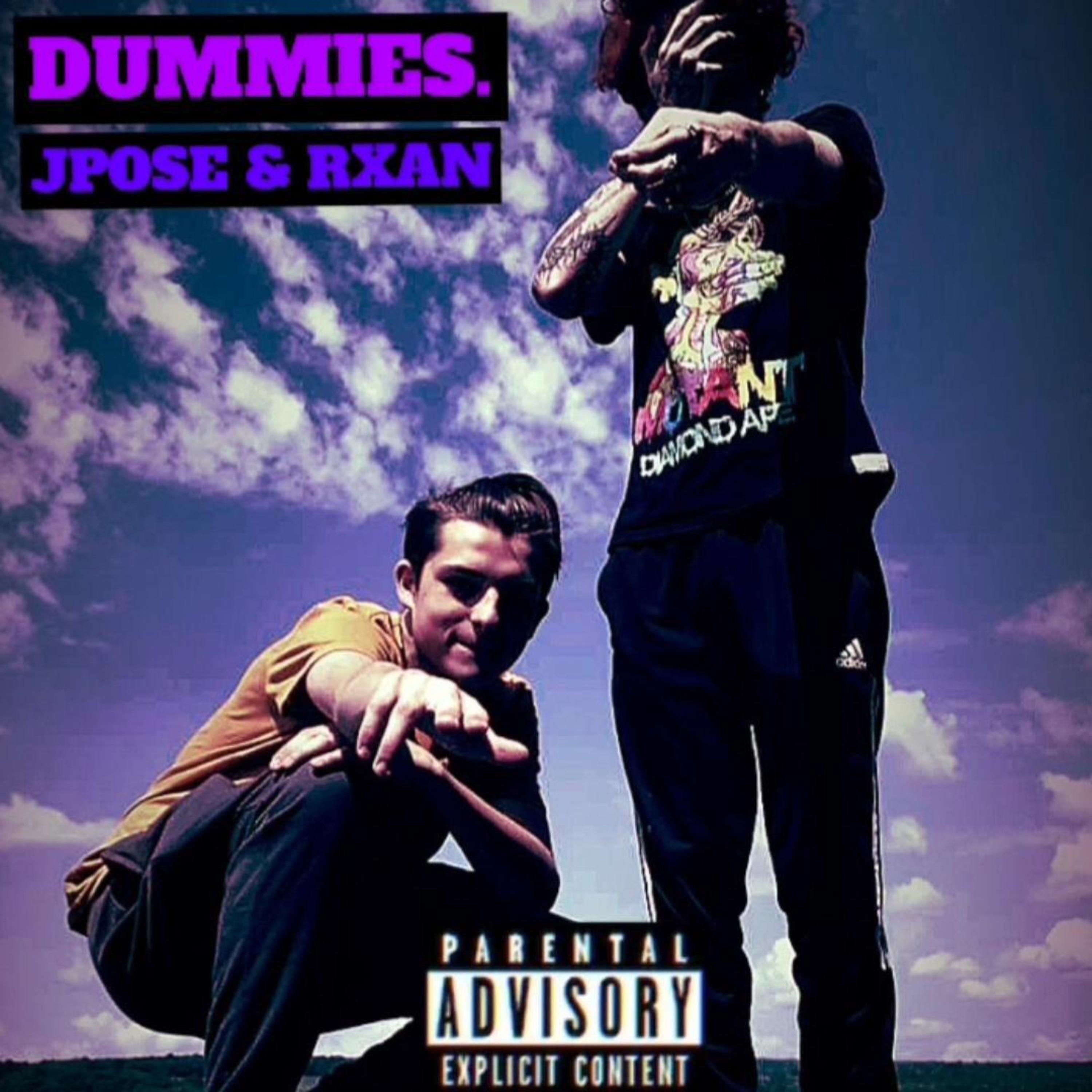 DUMMIES. artwork