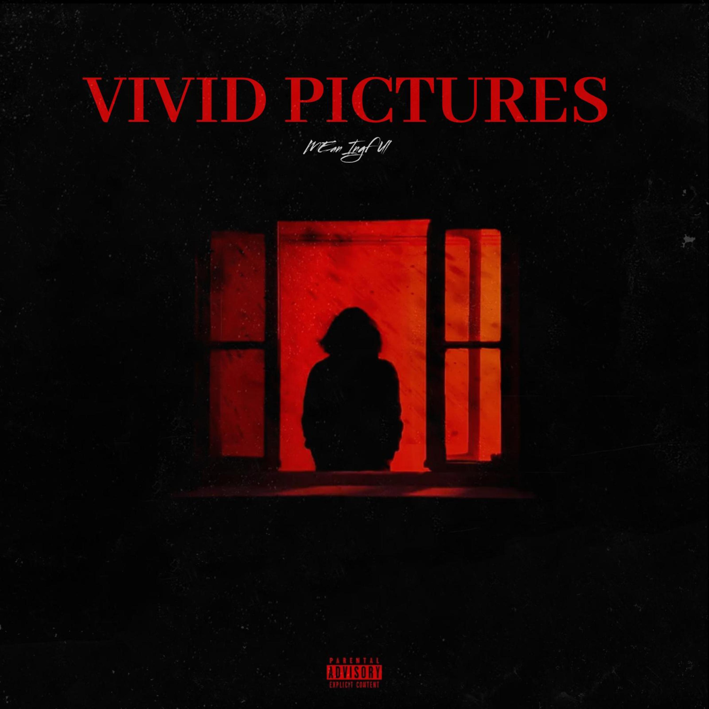 VIVID PICTURES artwork