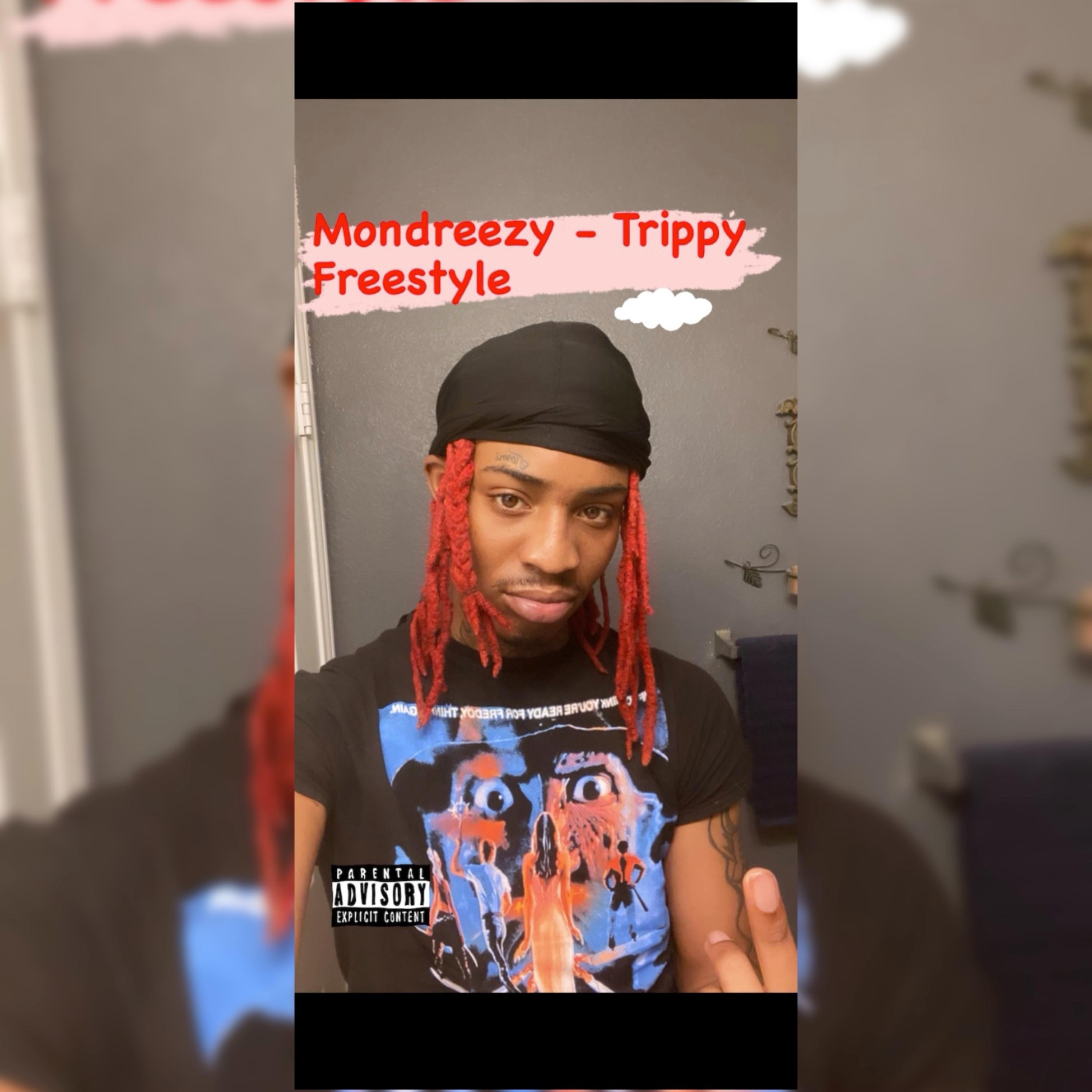 Trippy Freestyle artwork