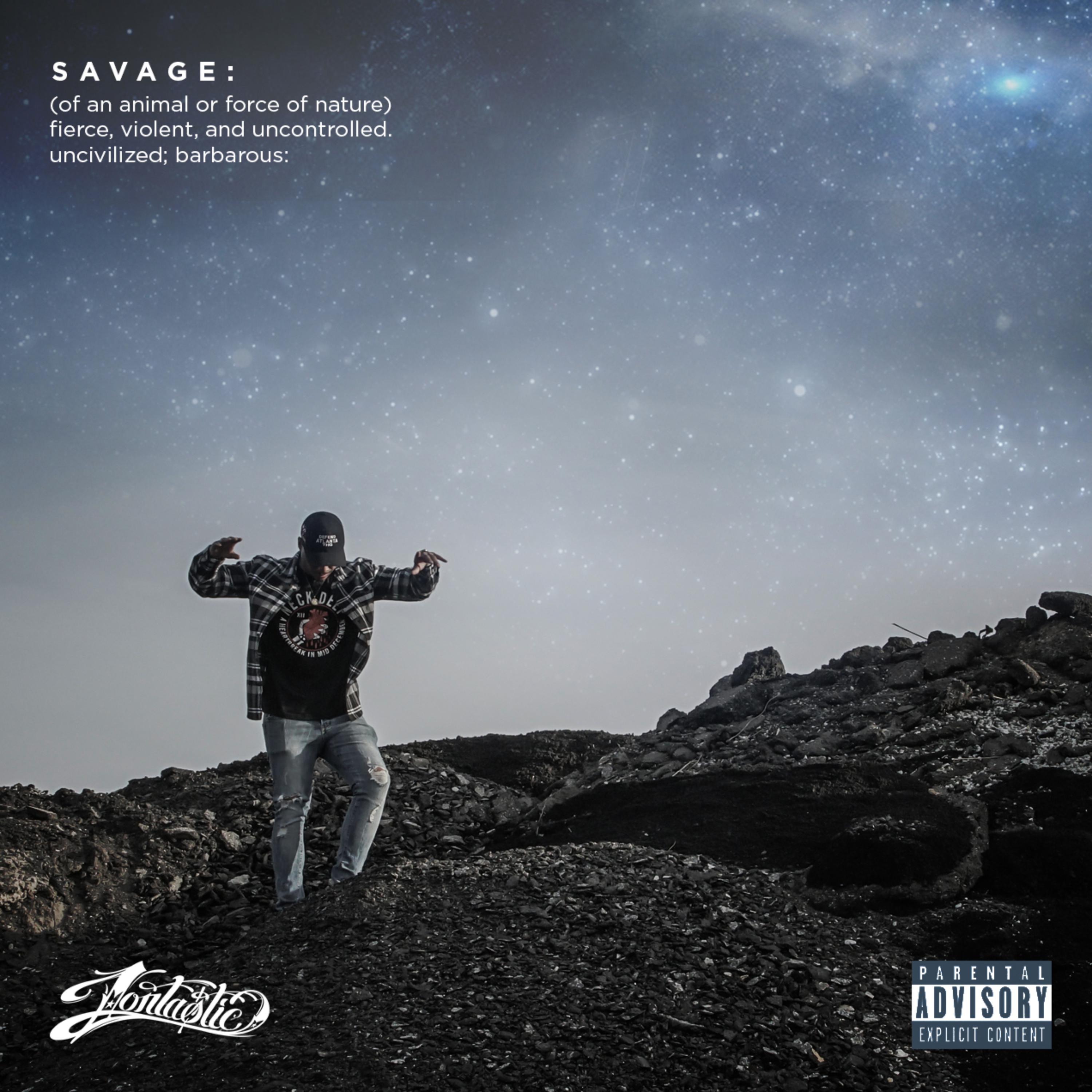 SavageTastic artwork