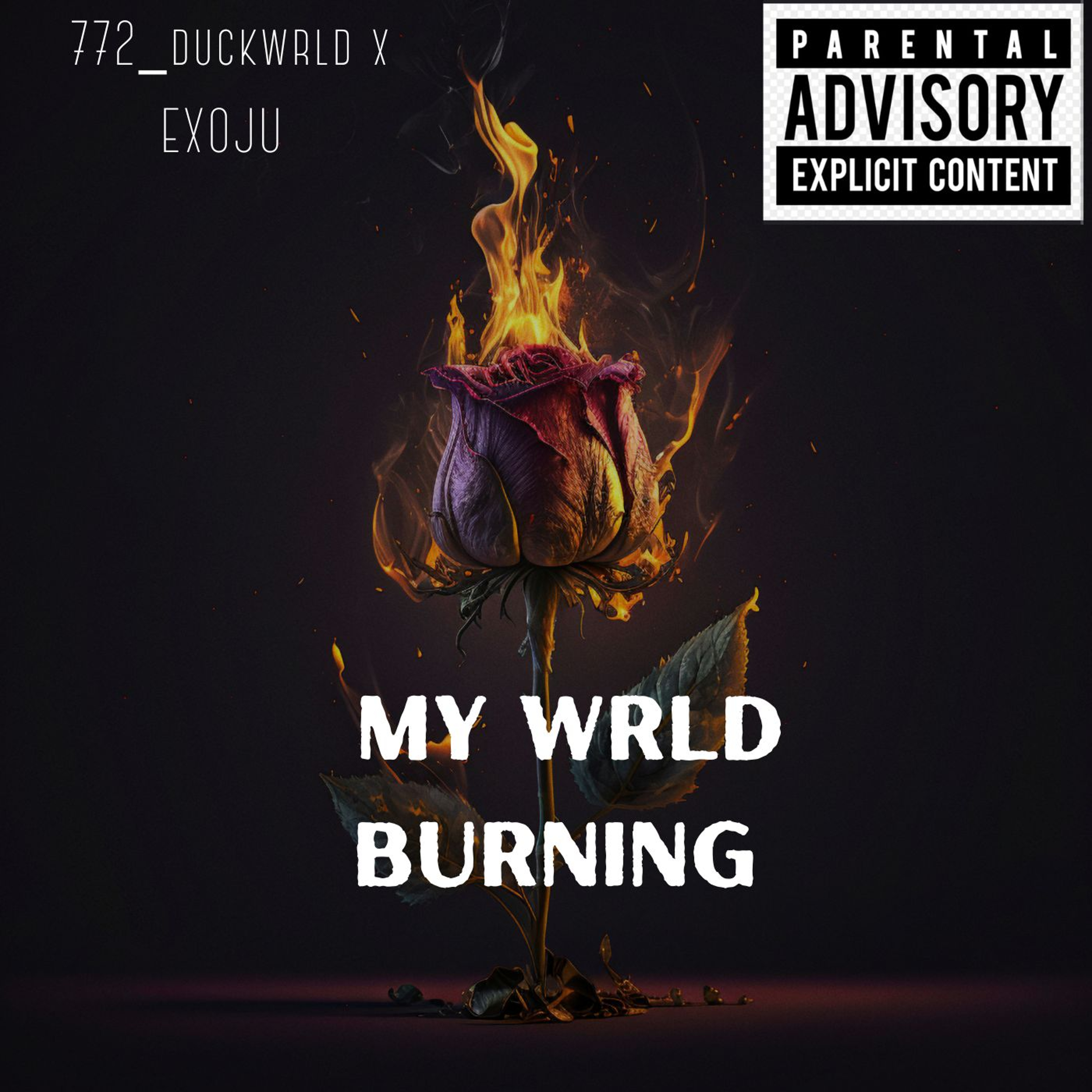 MY WRLD BURNING by 772_DuckWrld cover art