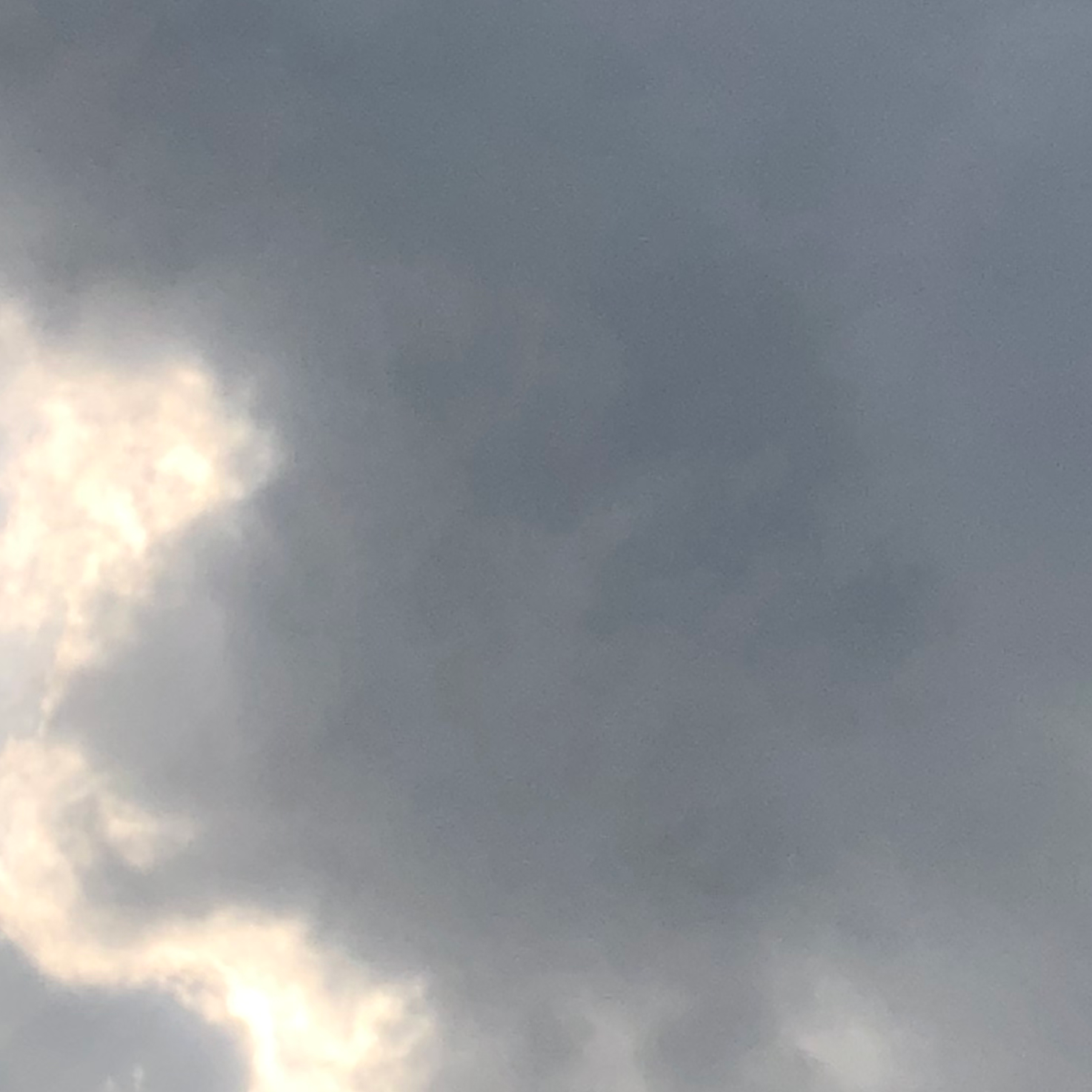 Cotton Candy artwork