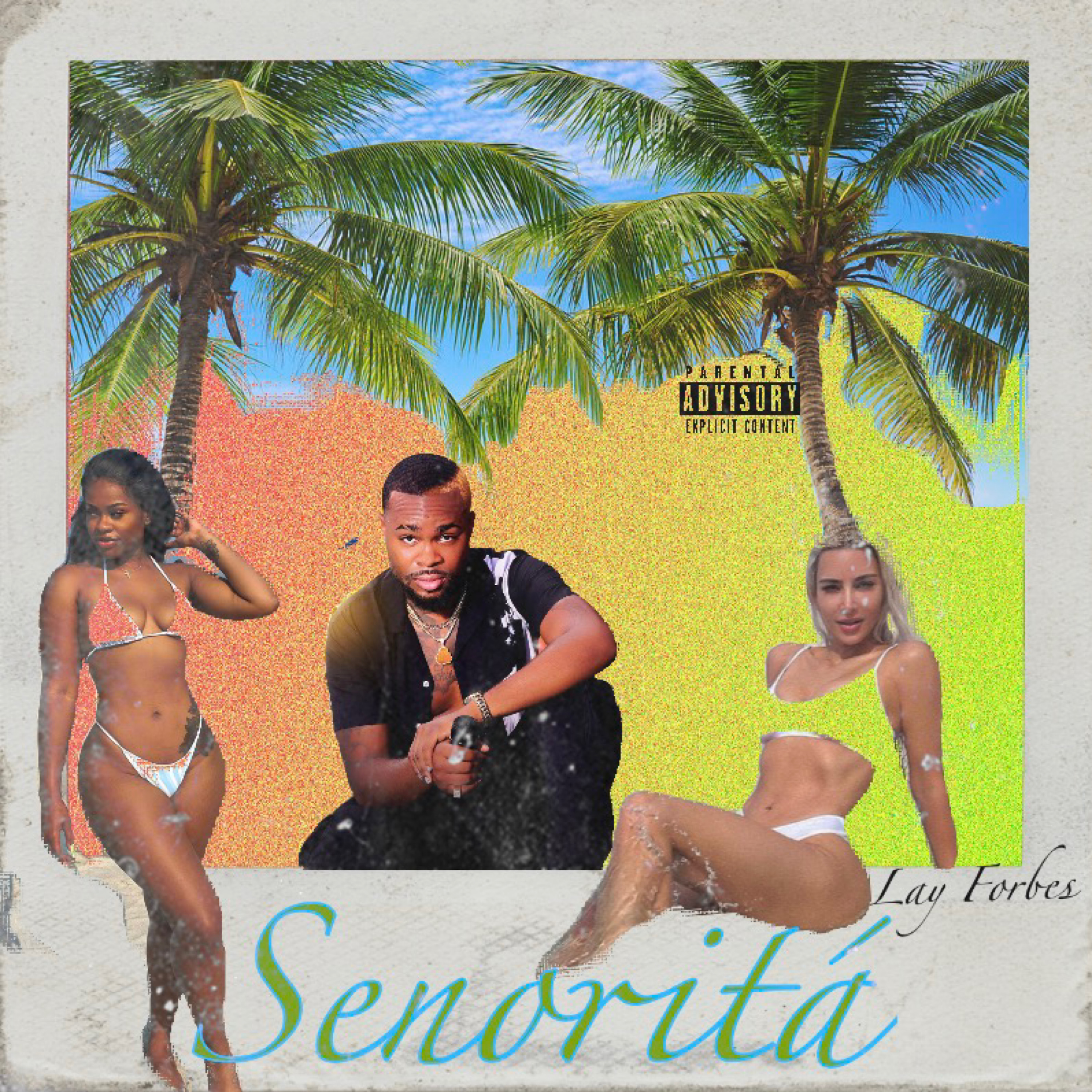 Senoritá artwork