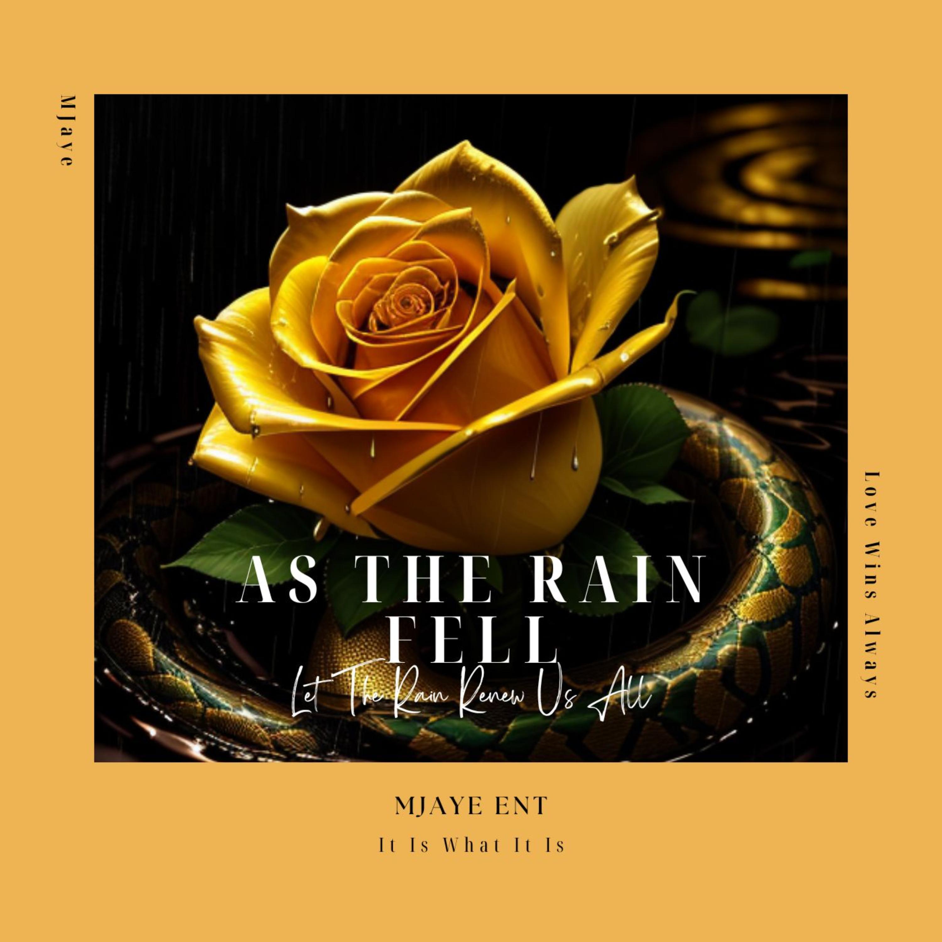 As The Rain Fell artwork
