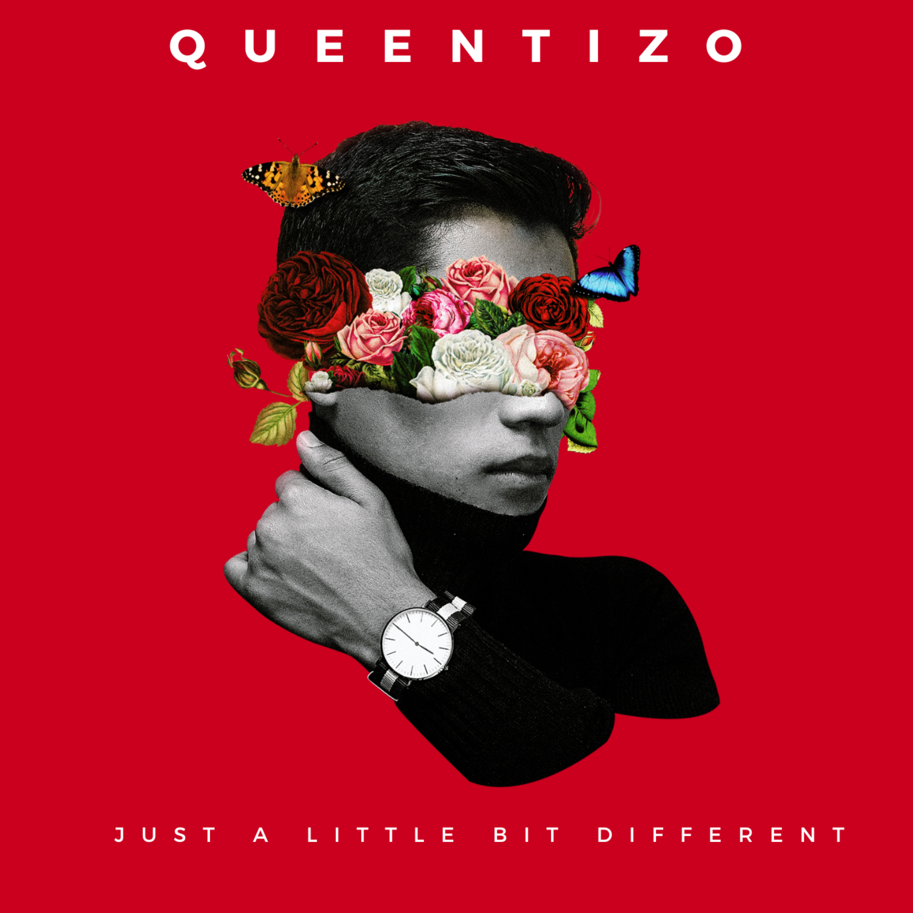 Just A Litte Bit Different artwork