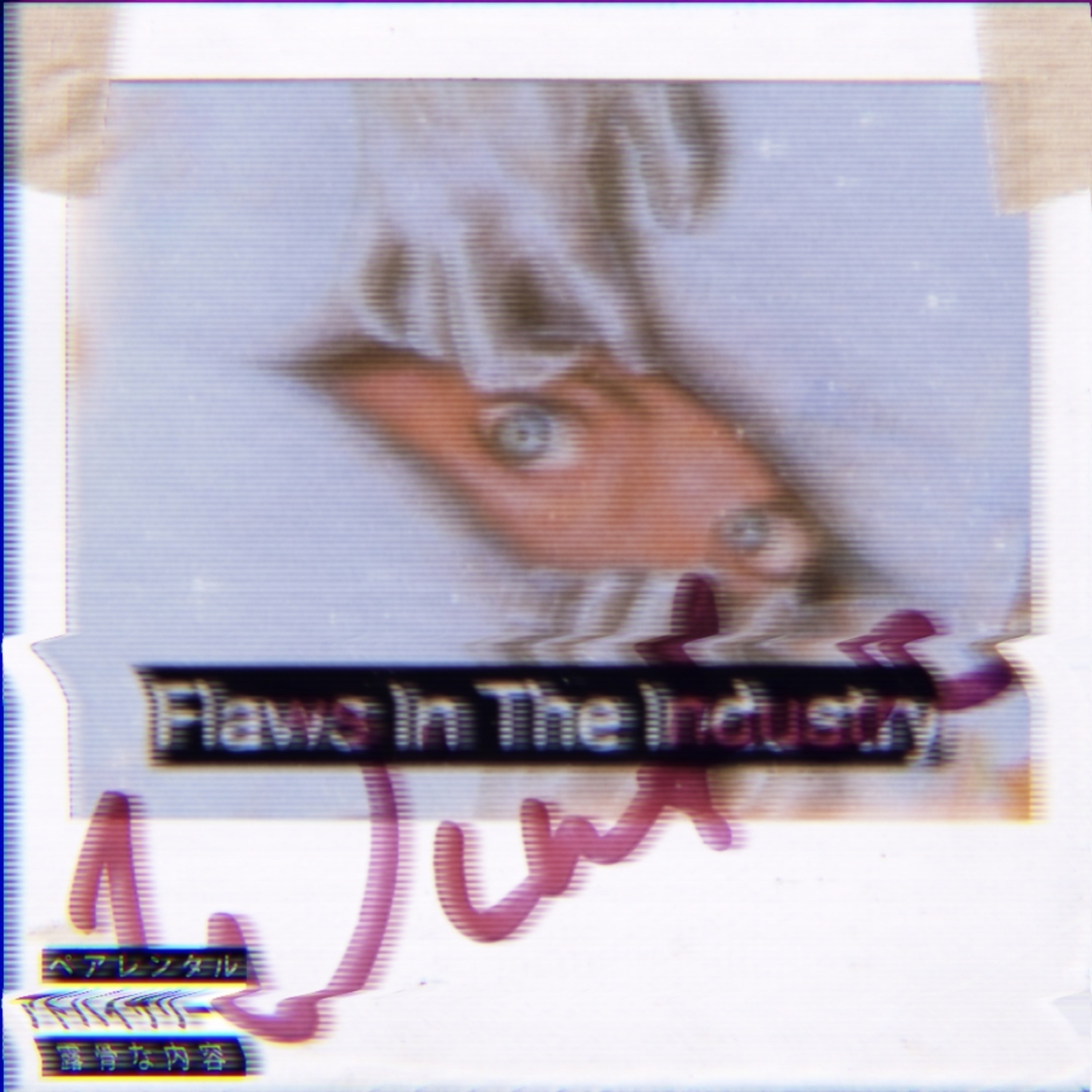Flaws In The Industry artwork
