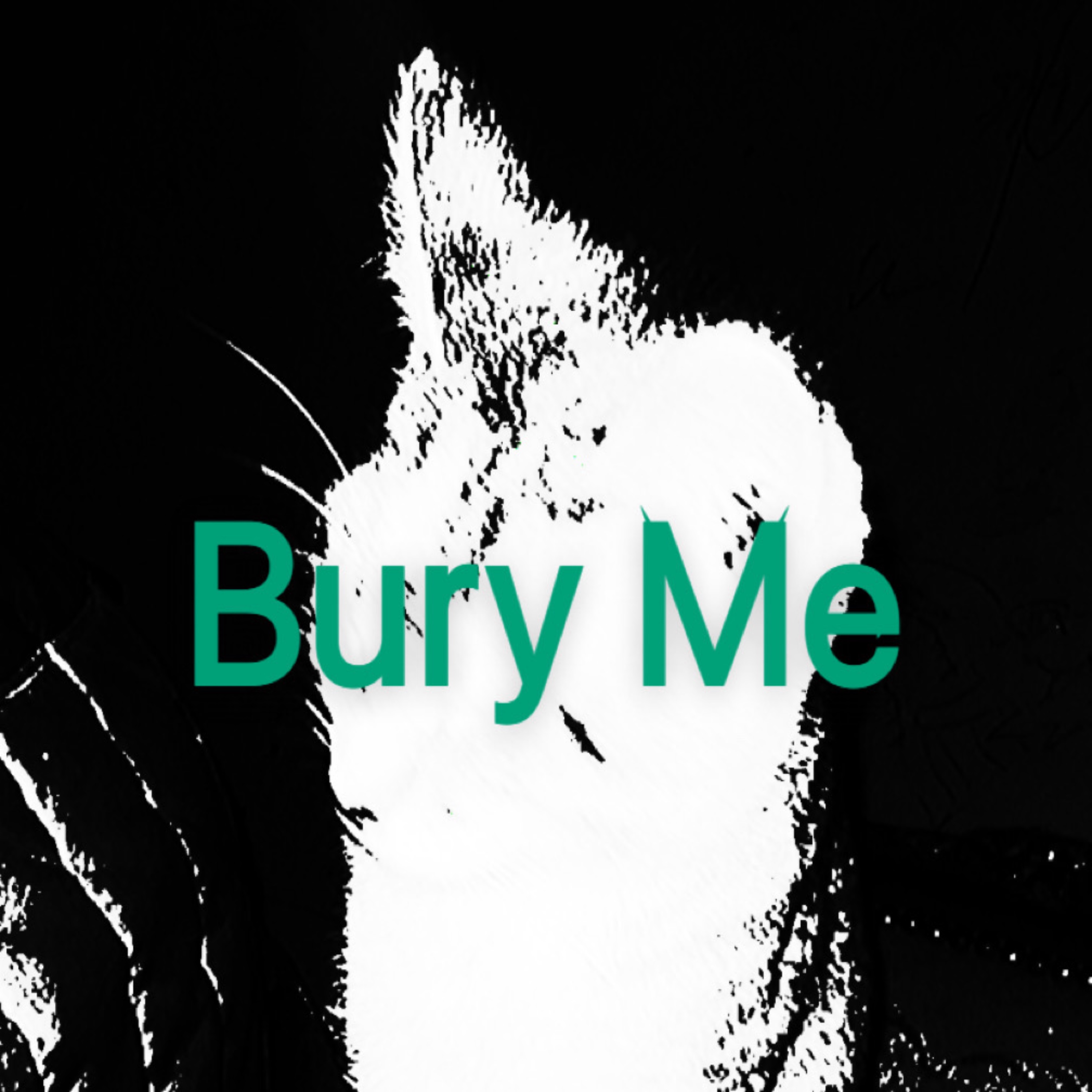 Bury Me artwork