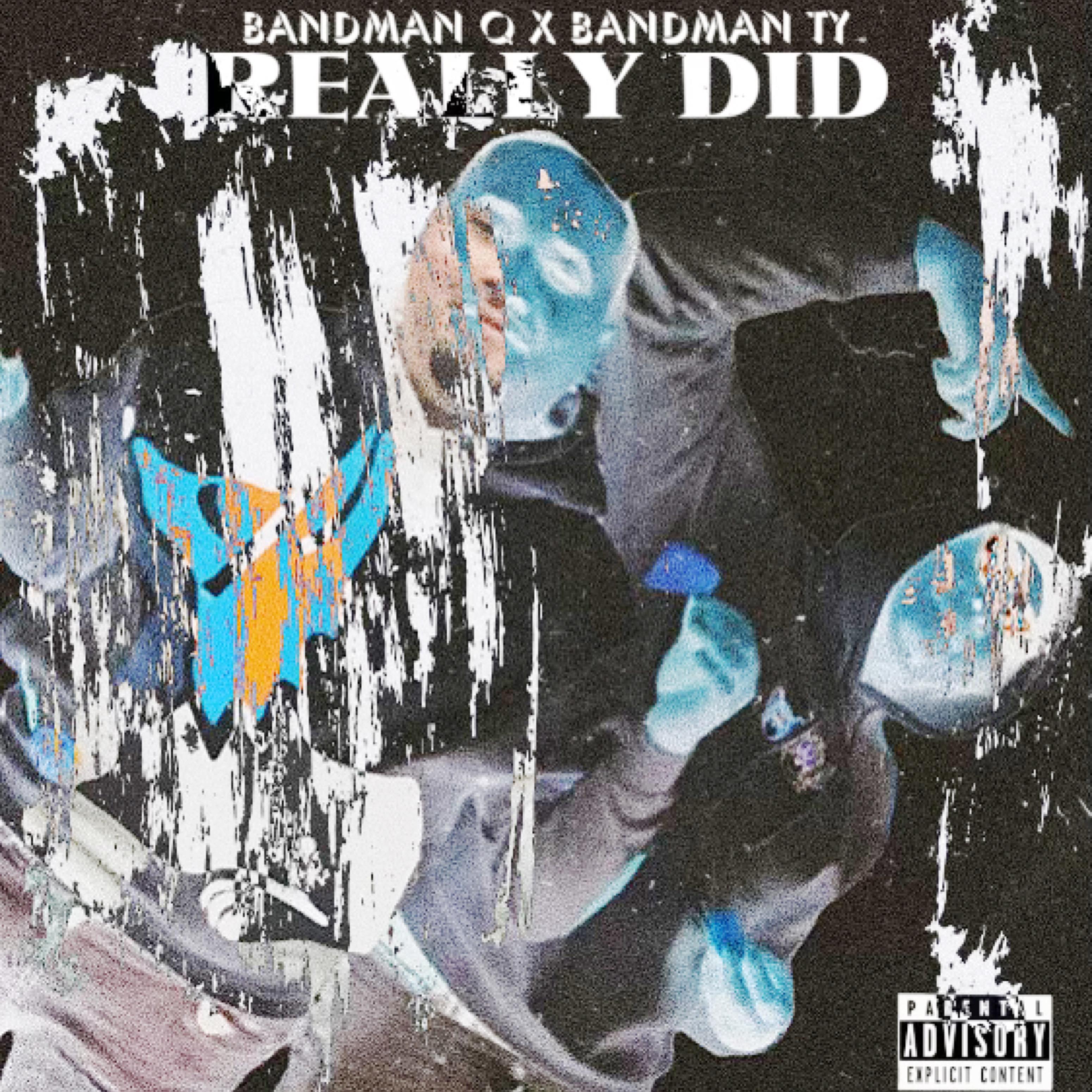Really Did by BandmanQ cover art