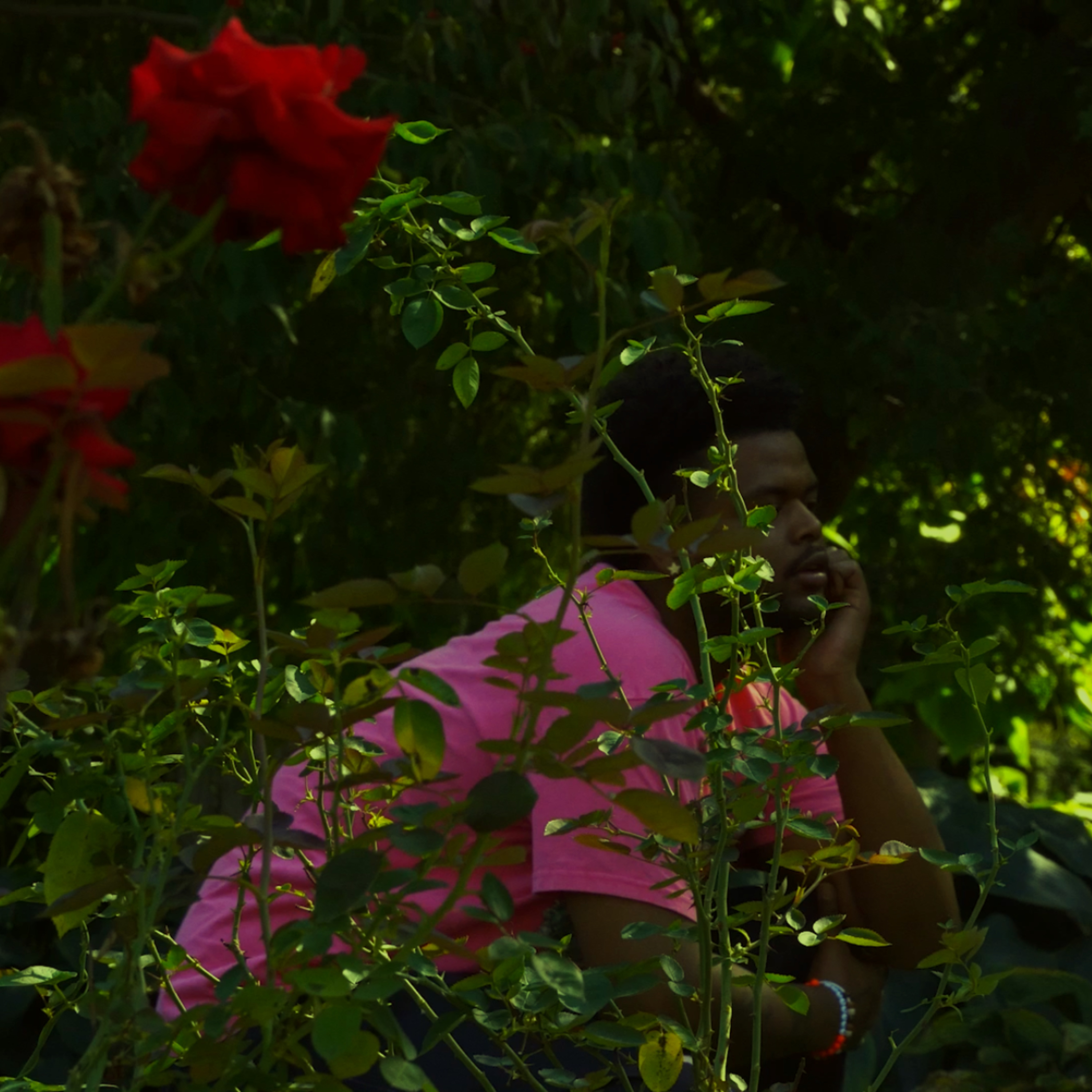 Flower Still Gone Bloom artwork