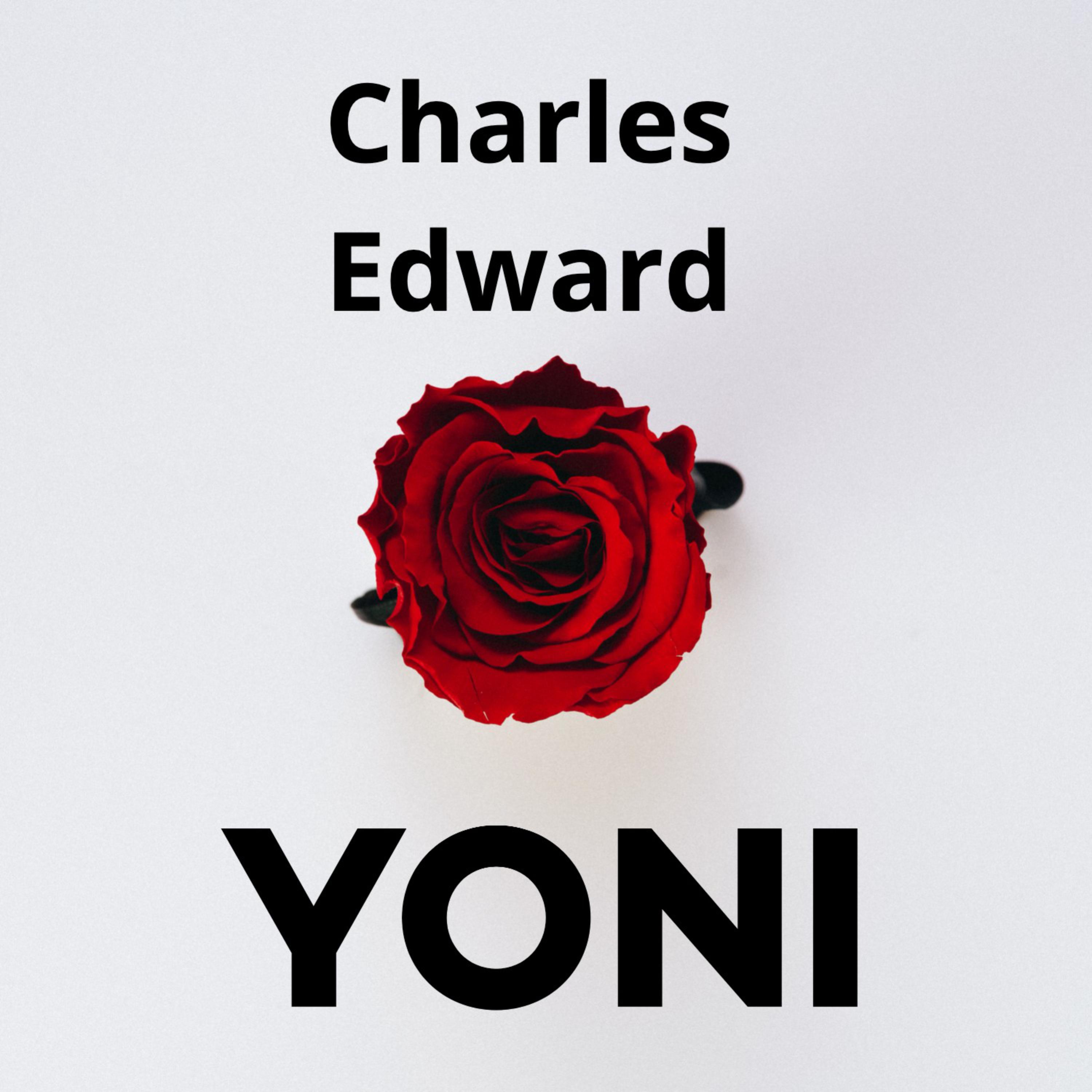 Yoni artwork