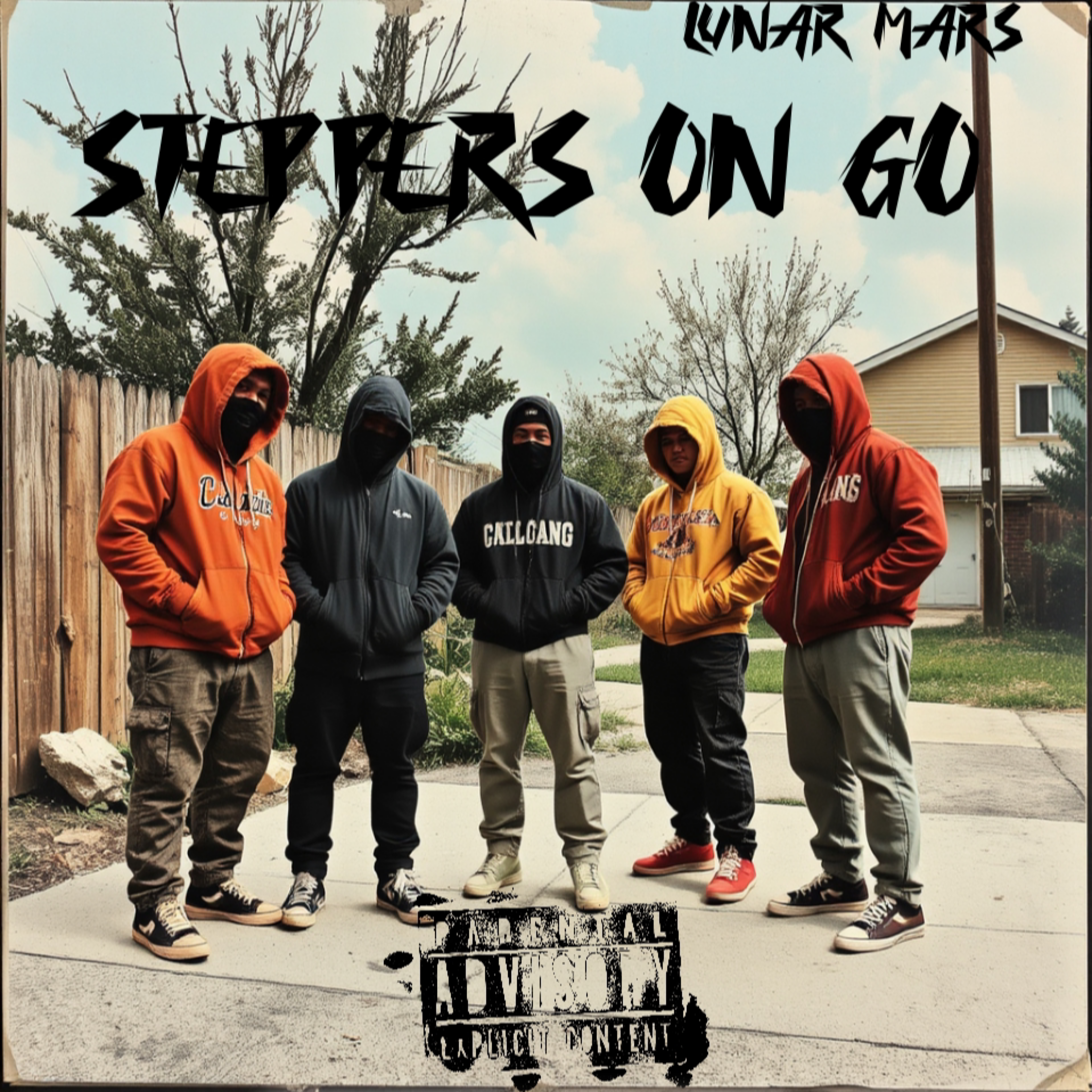 Steppers On Go artwork