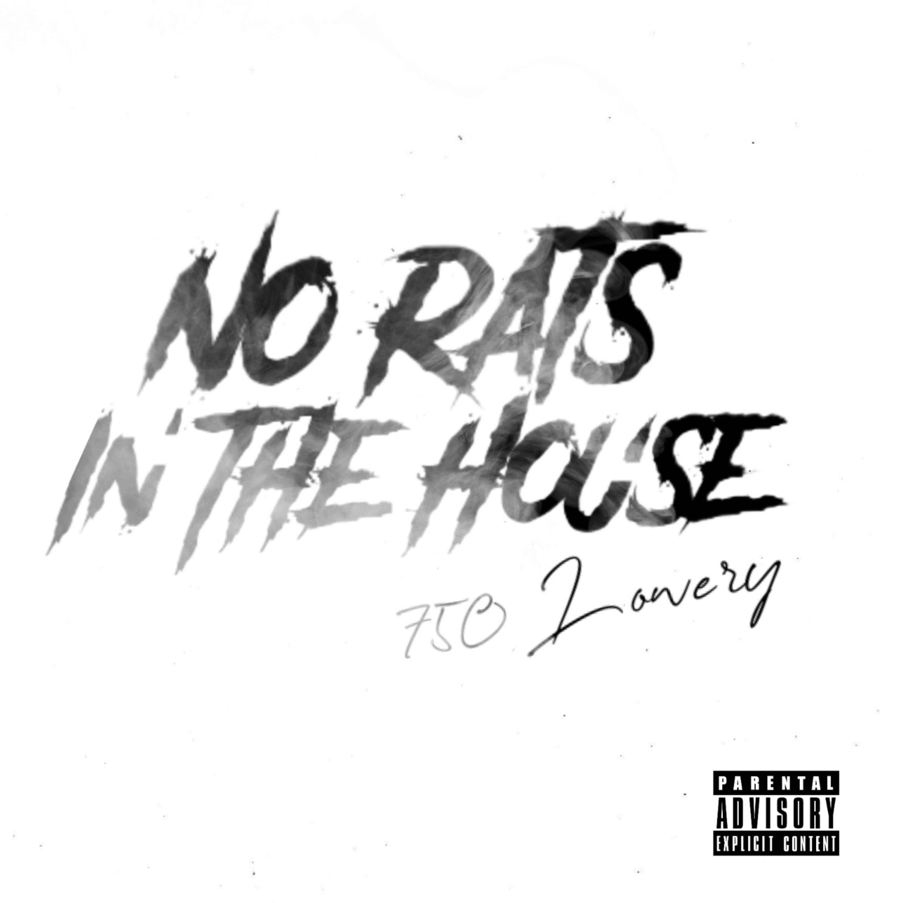 No Rats In The House artwork