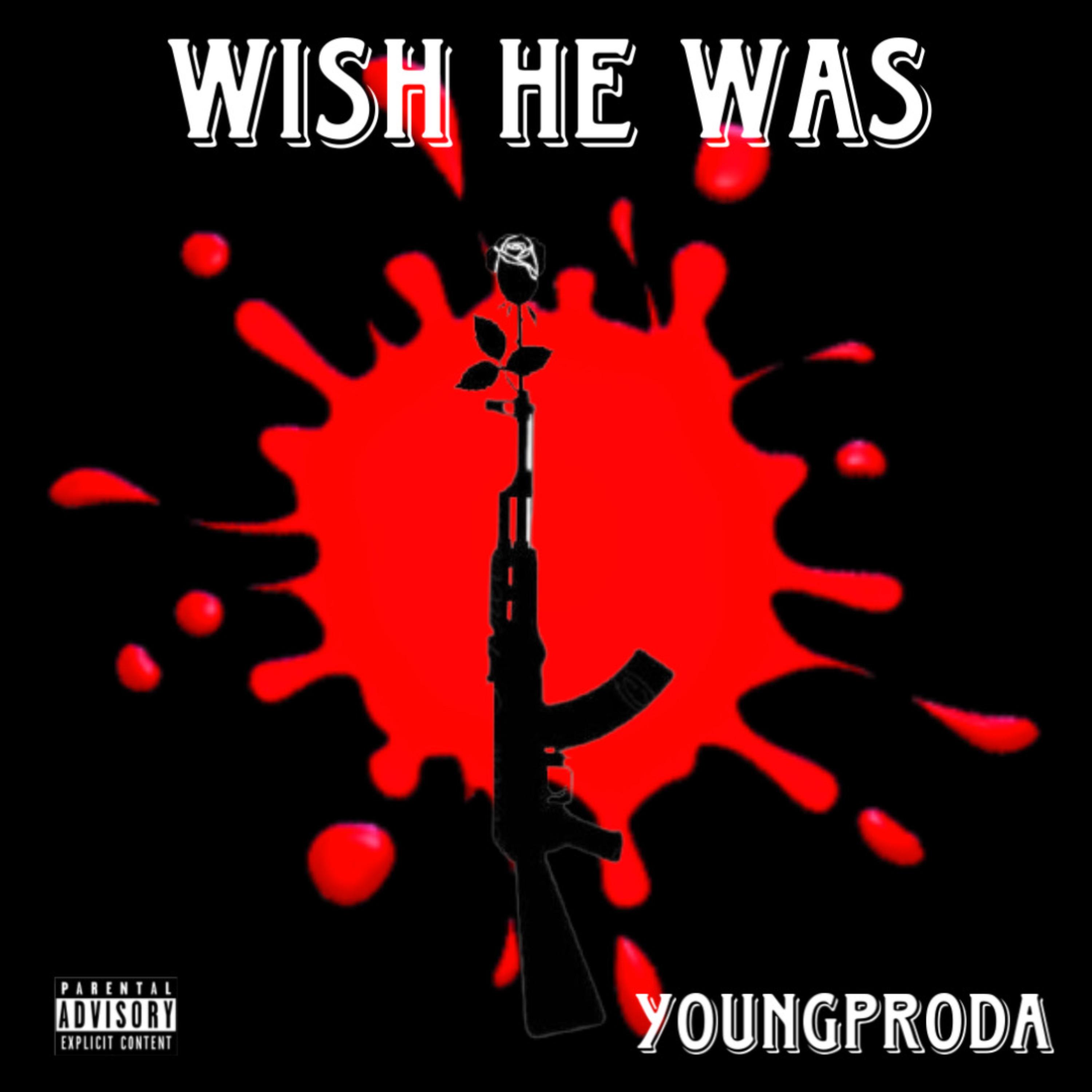 WISH HE WAS artwork