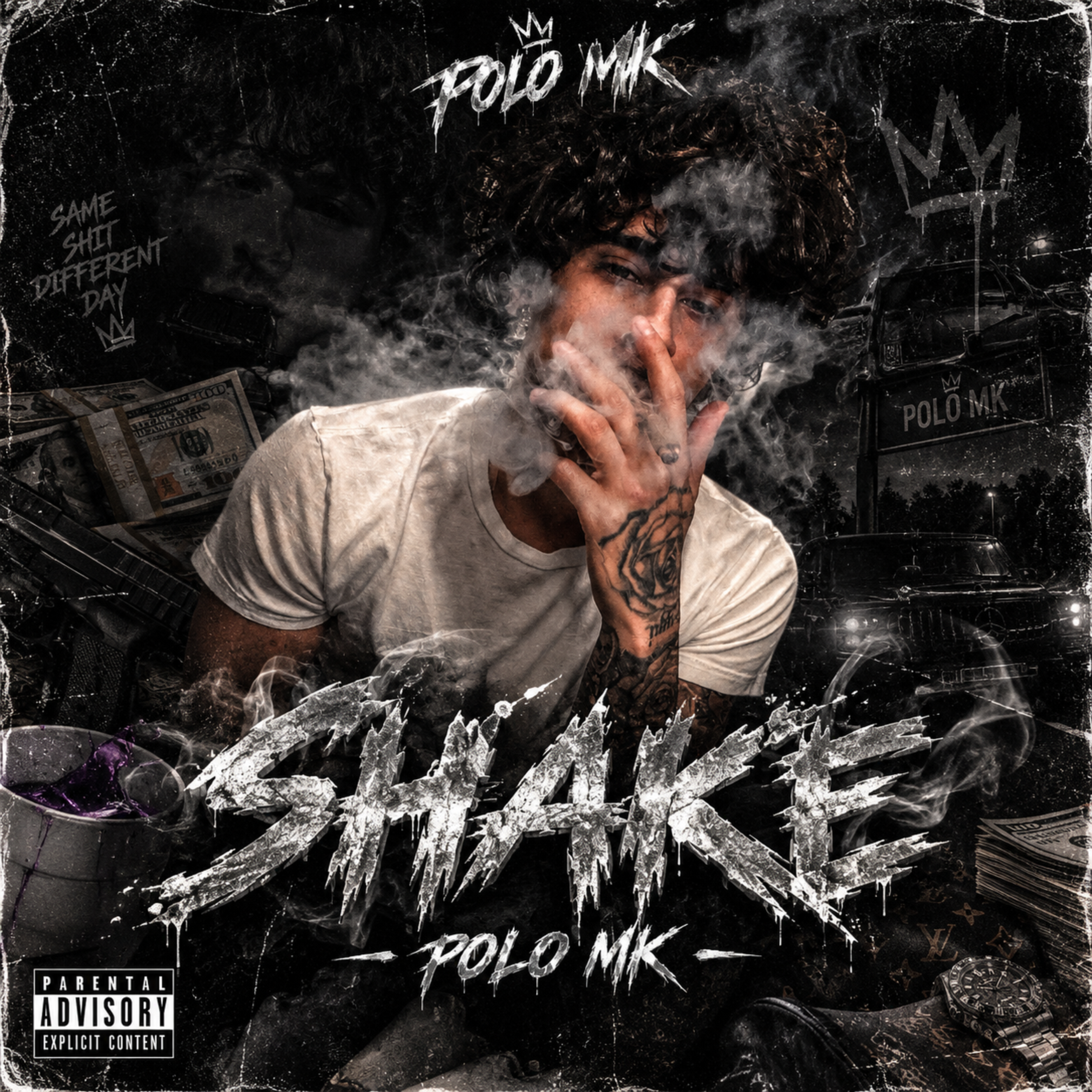 Shake by Polo MK cover art