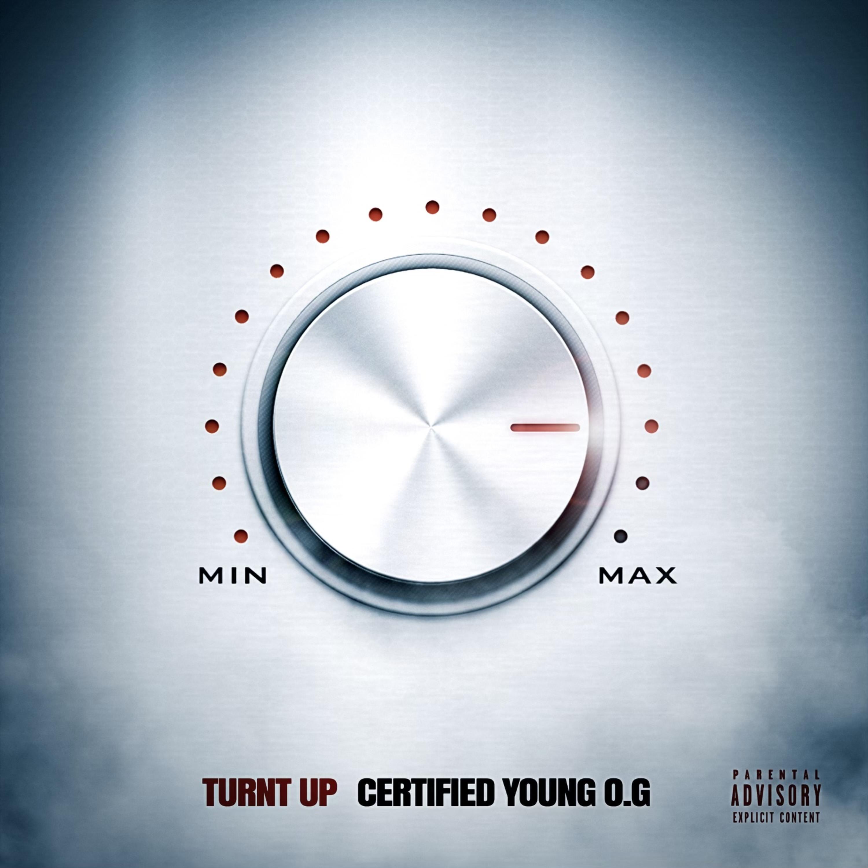 TURNT UP artwork