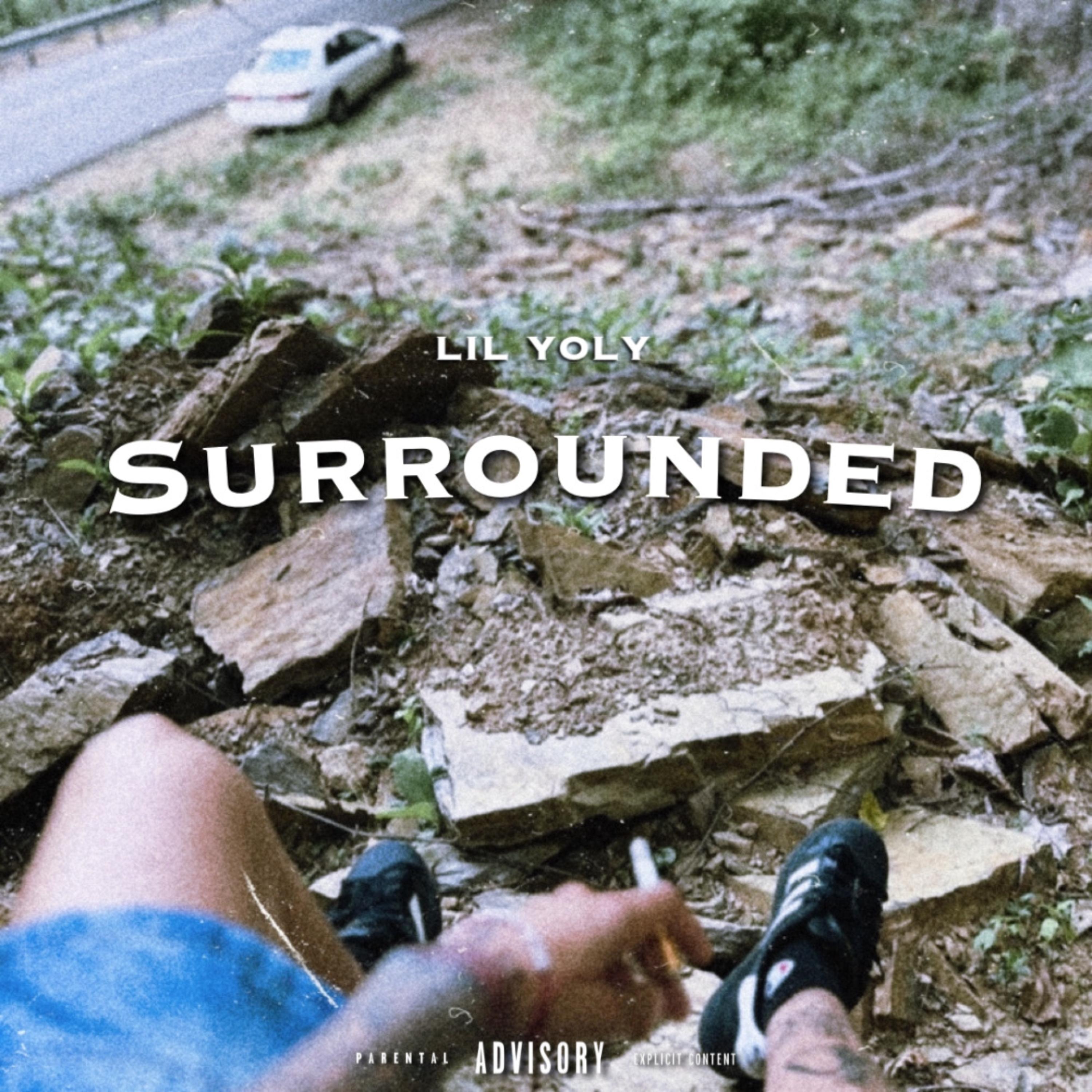 Surrounded artwork