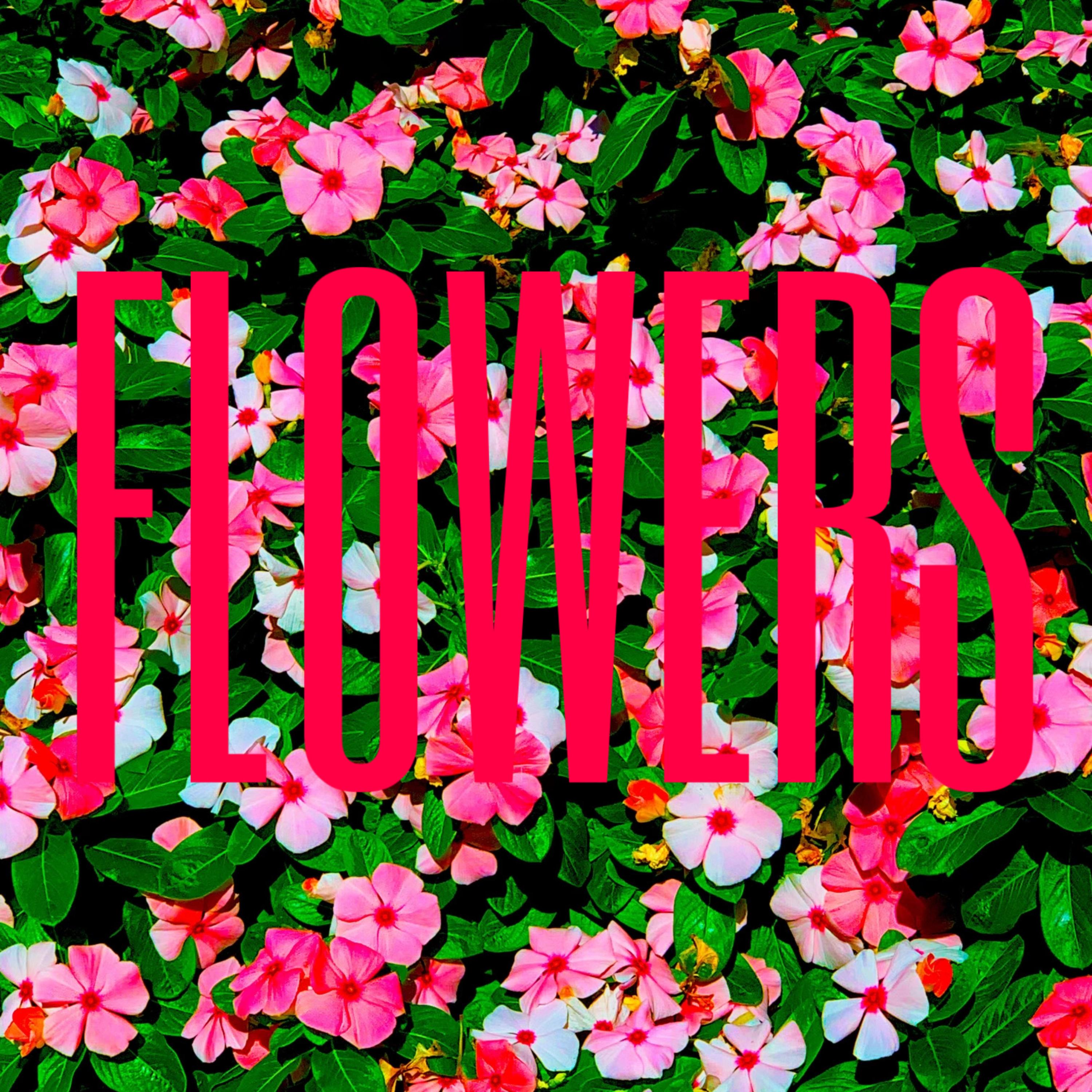 FLOWERS artwork