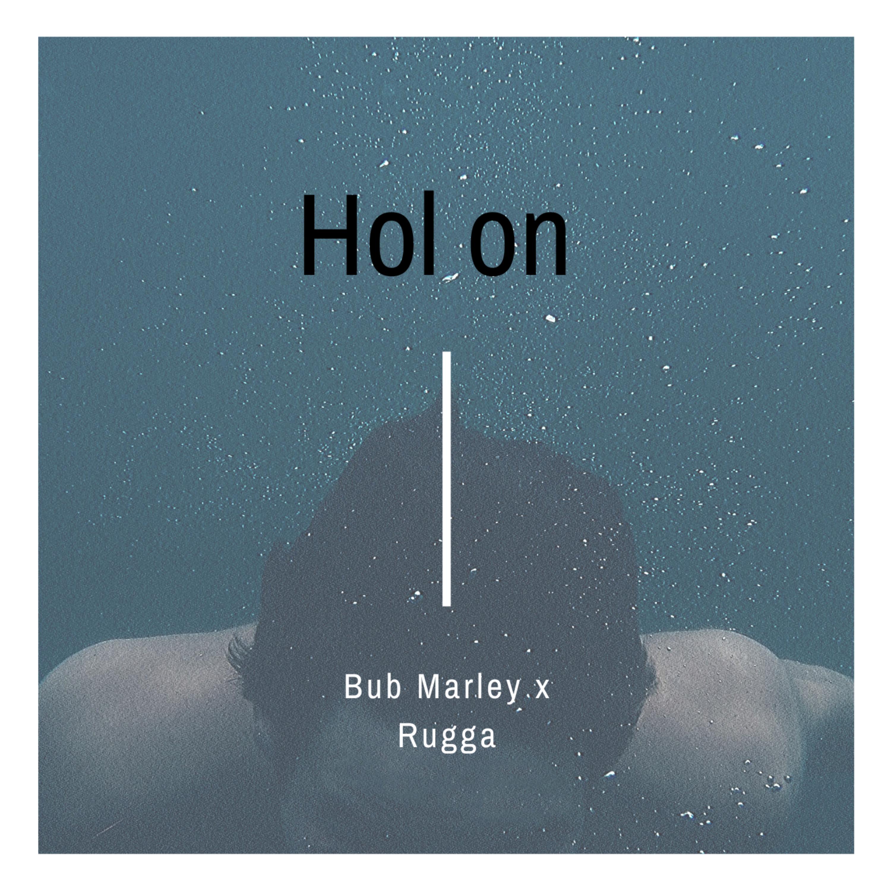 Hol On Wait artwork