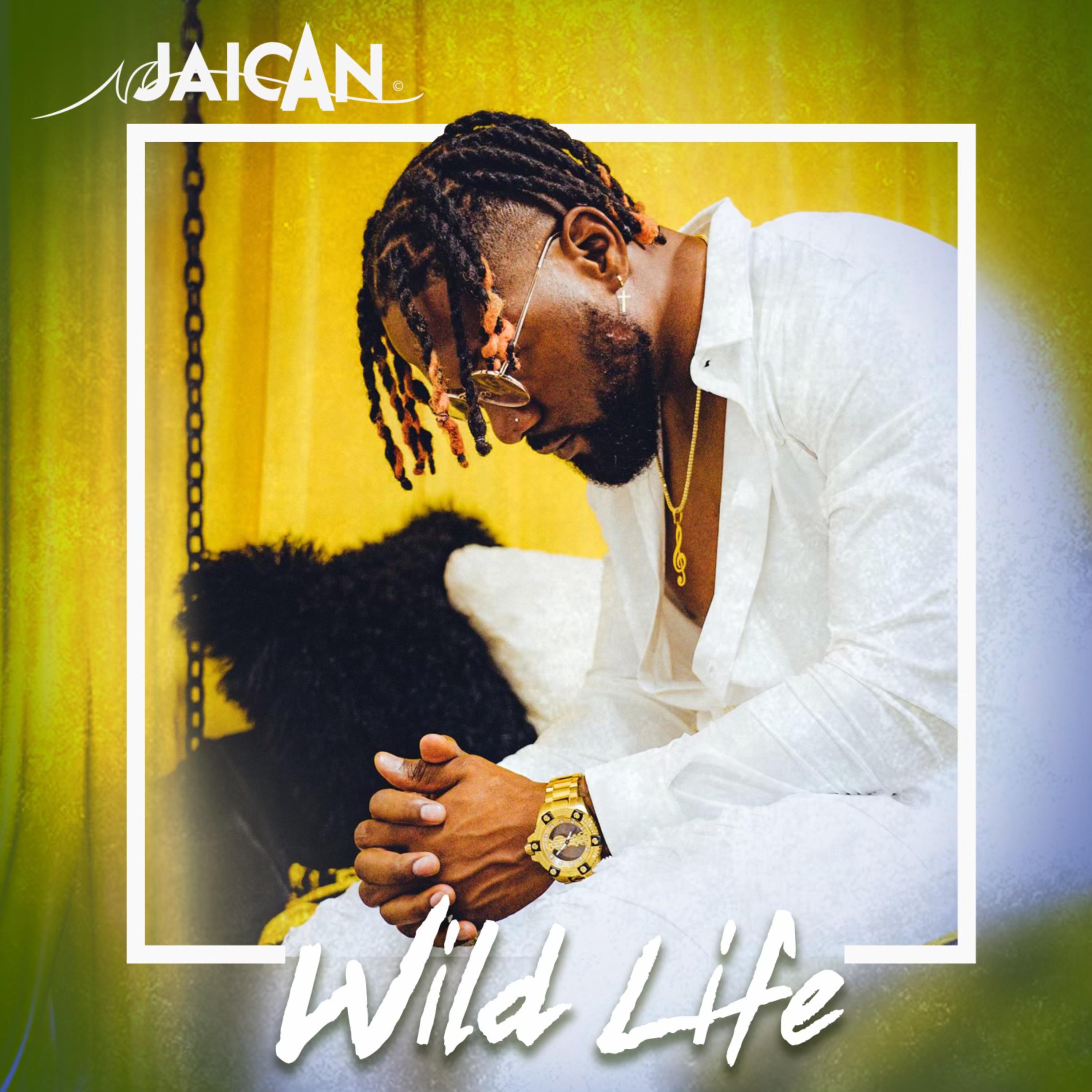 Wild Life  artwork