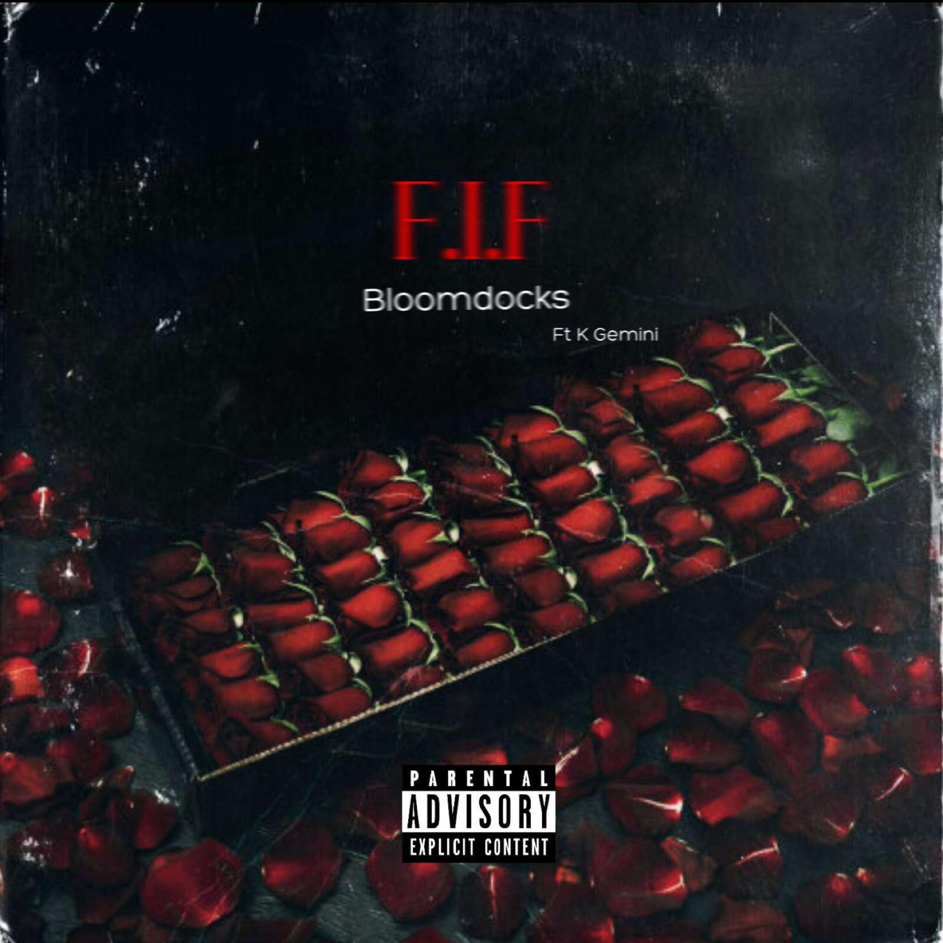 PROJ F.I.F artwork