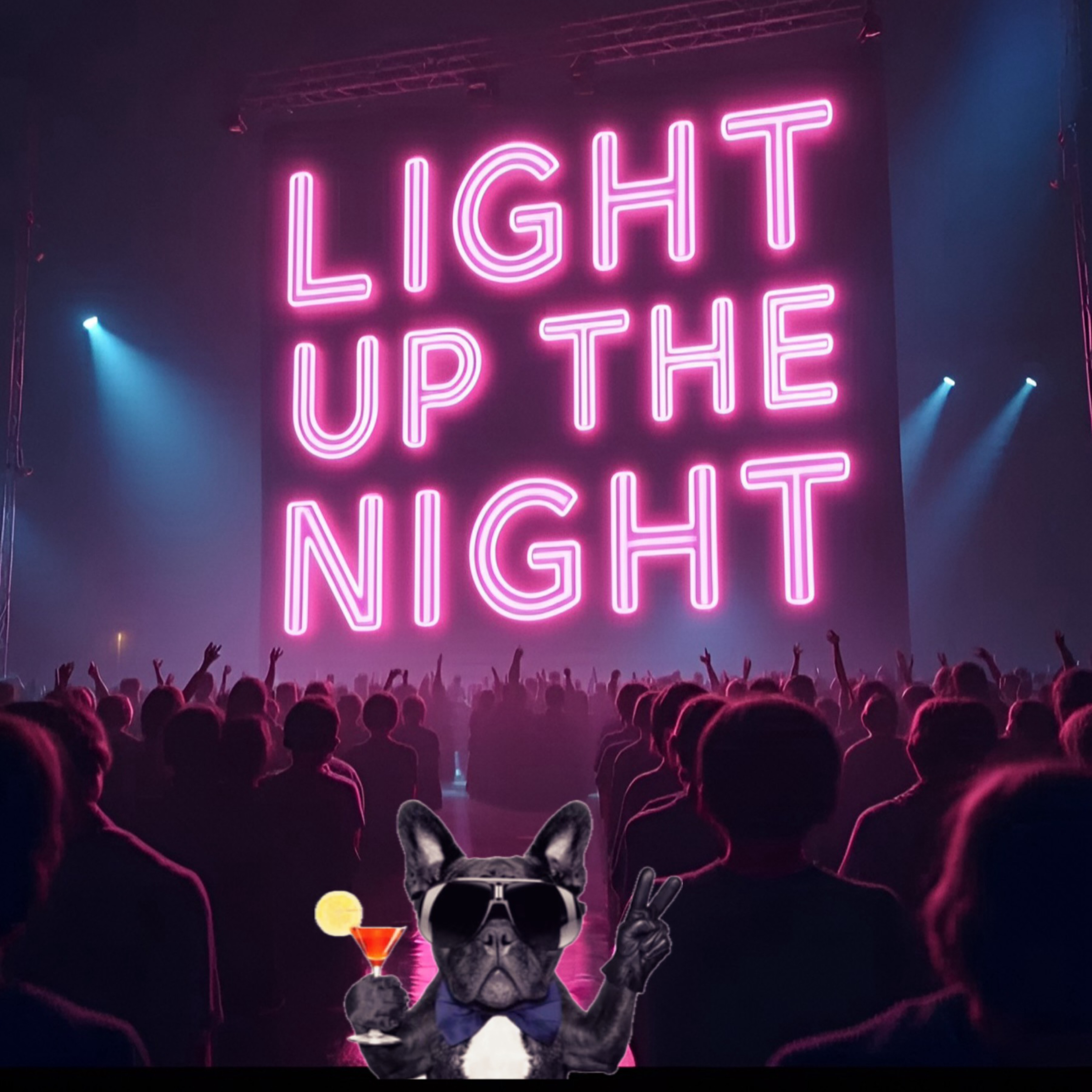 Light Up The Night artwork