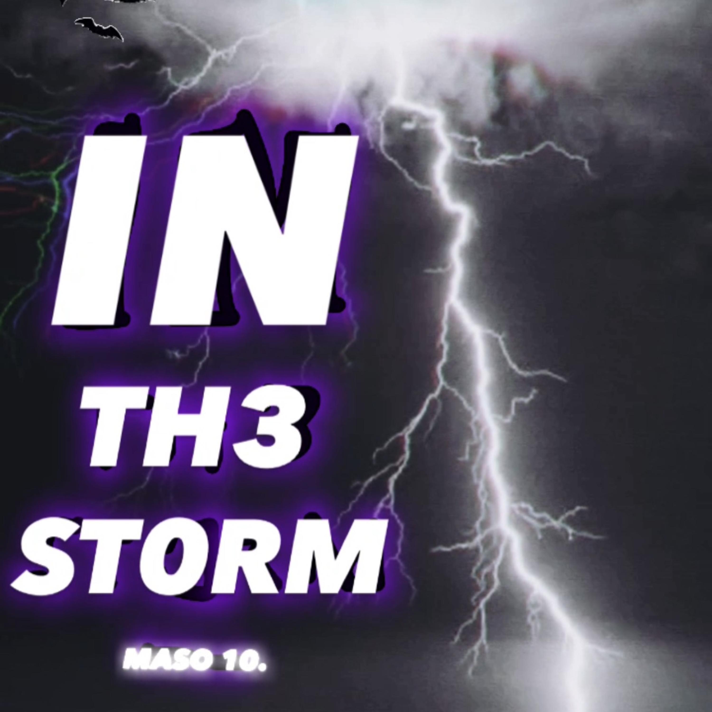 In The Storm artwork