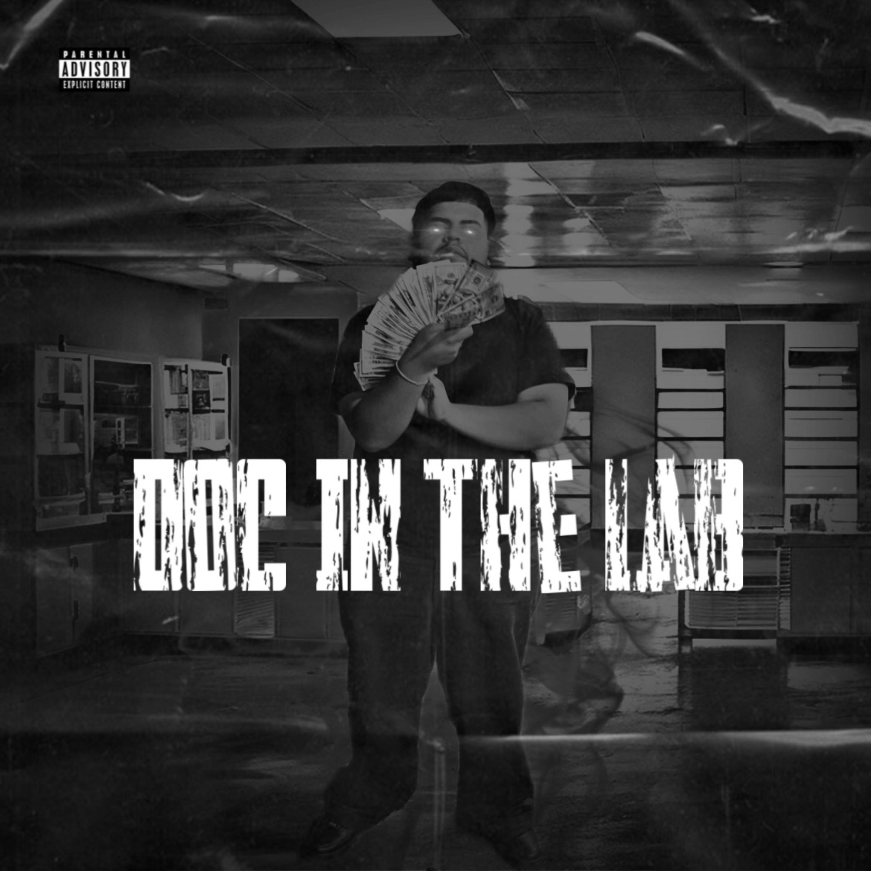 Doc In The Lab artwork