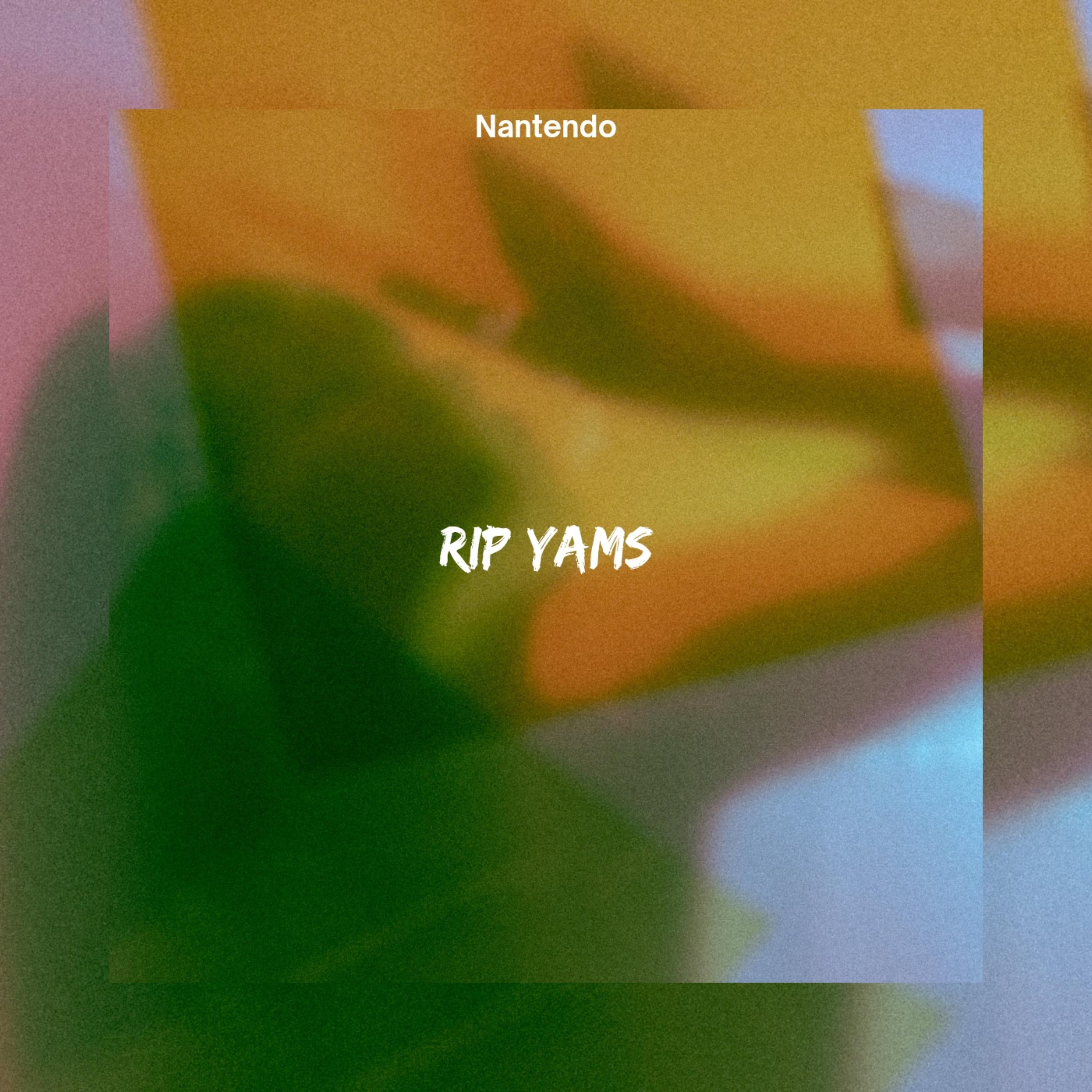 RIP YAMS by Nantendo cover art