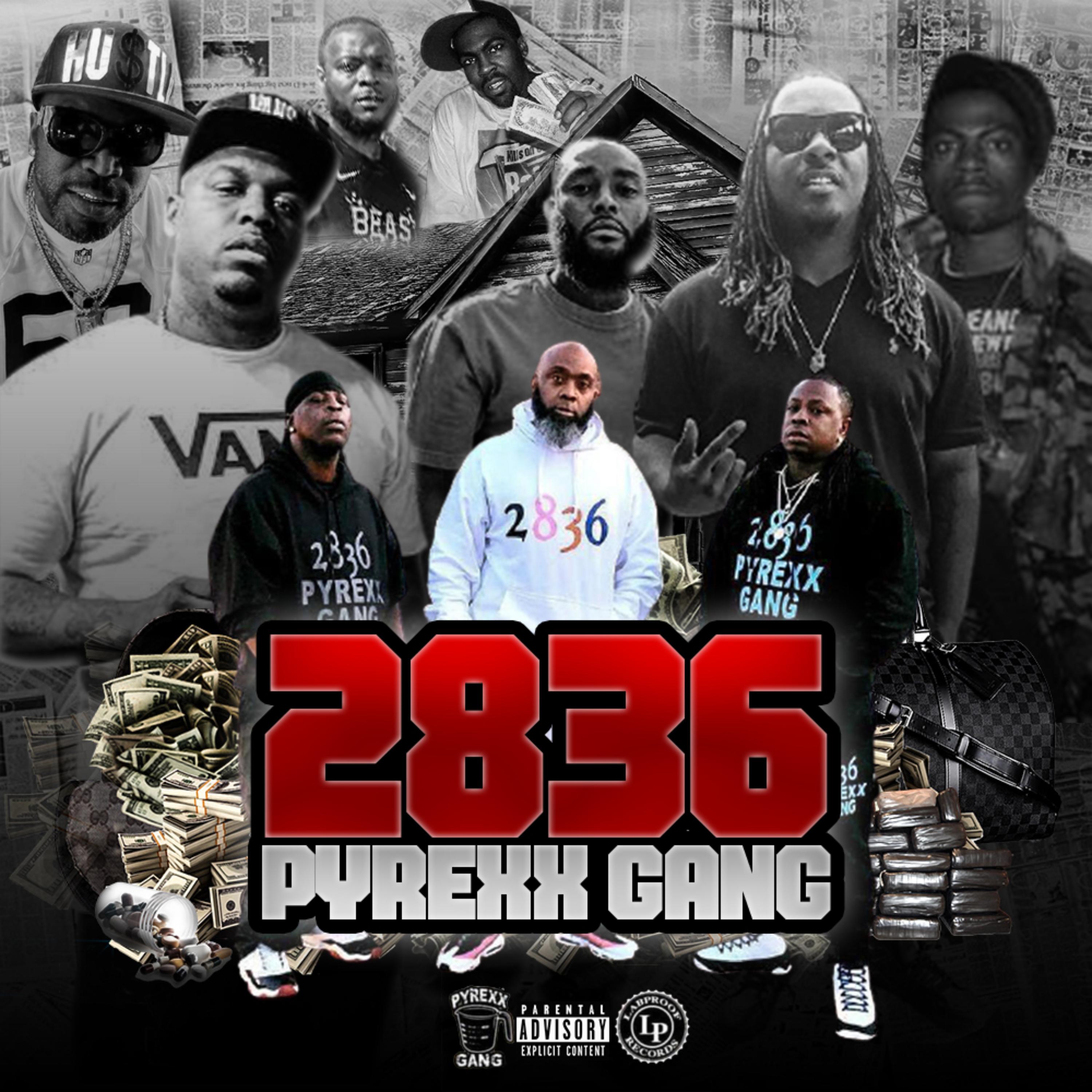 2836 PYREXX GANG by Sam Squee cover art