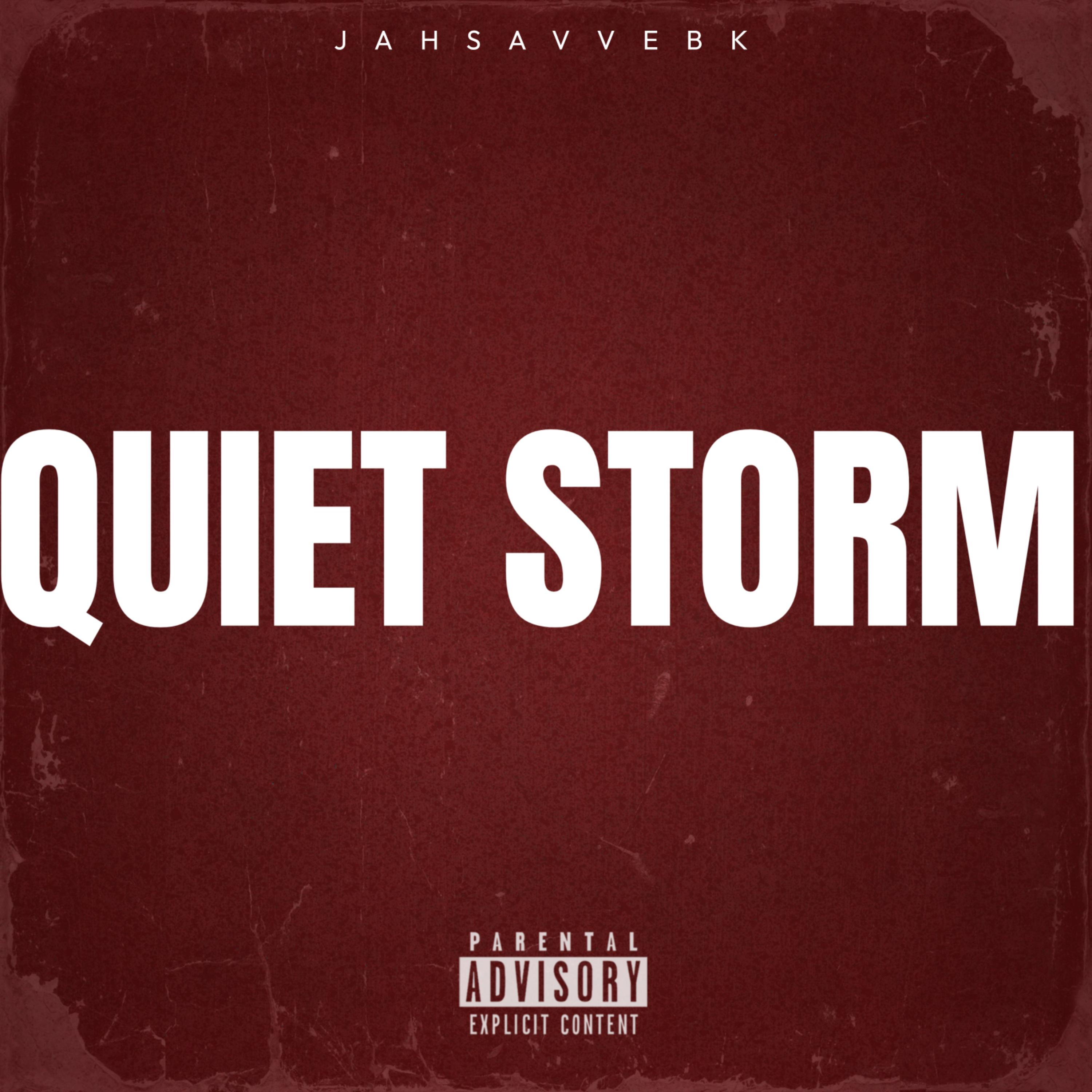 QUIET STORM artwork