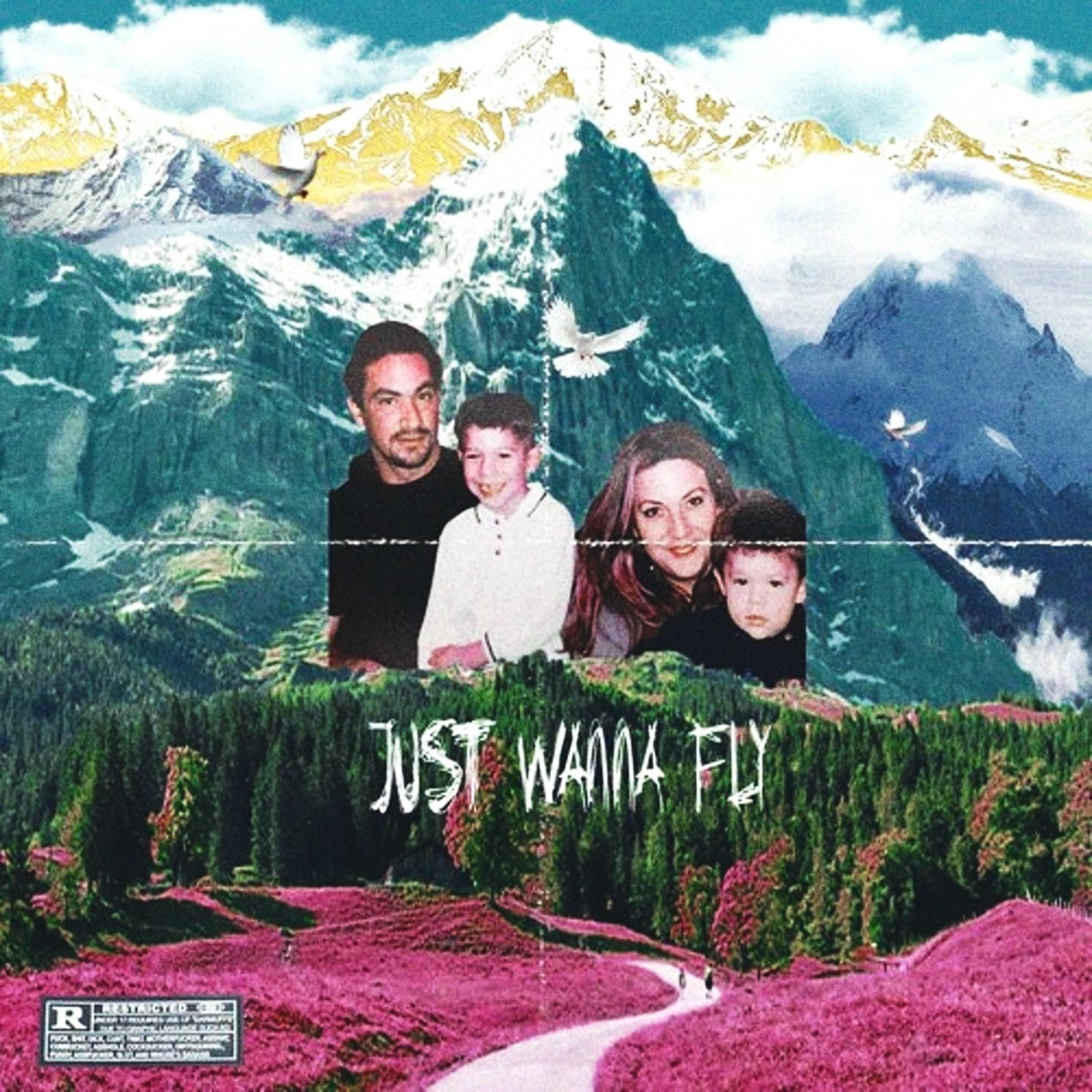 Just Wanna Fly artwork