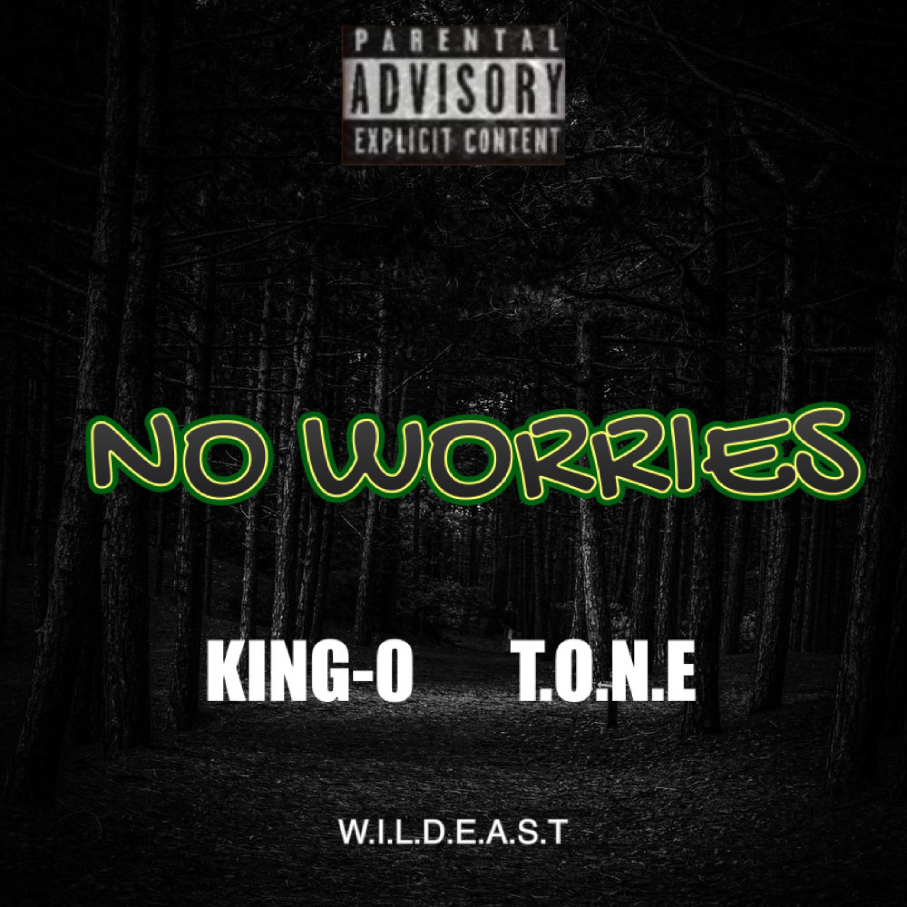 No Worries by Wildeast cover art