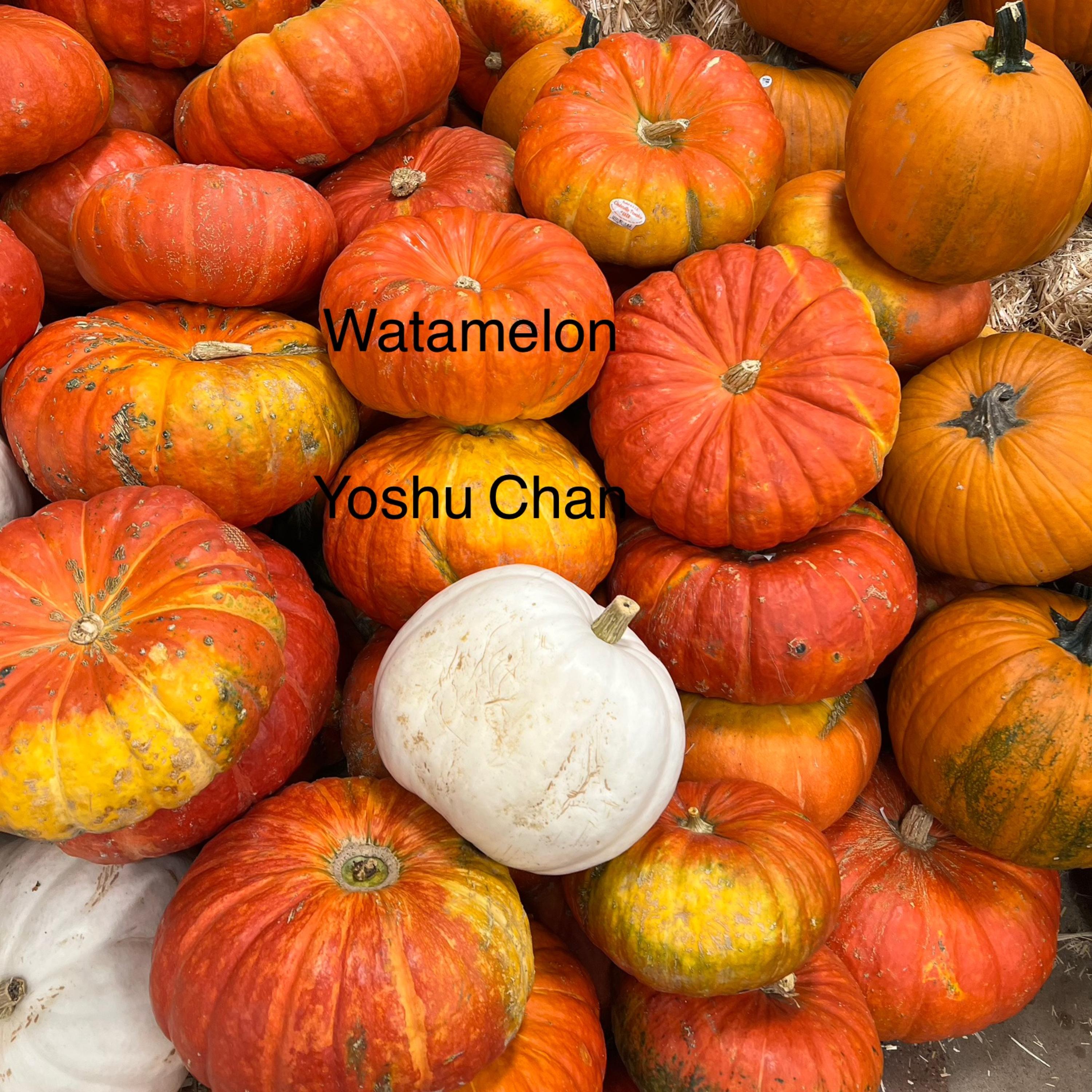 Watamelon artwork