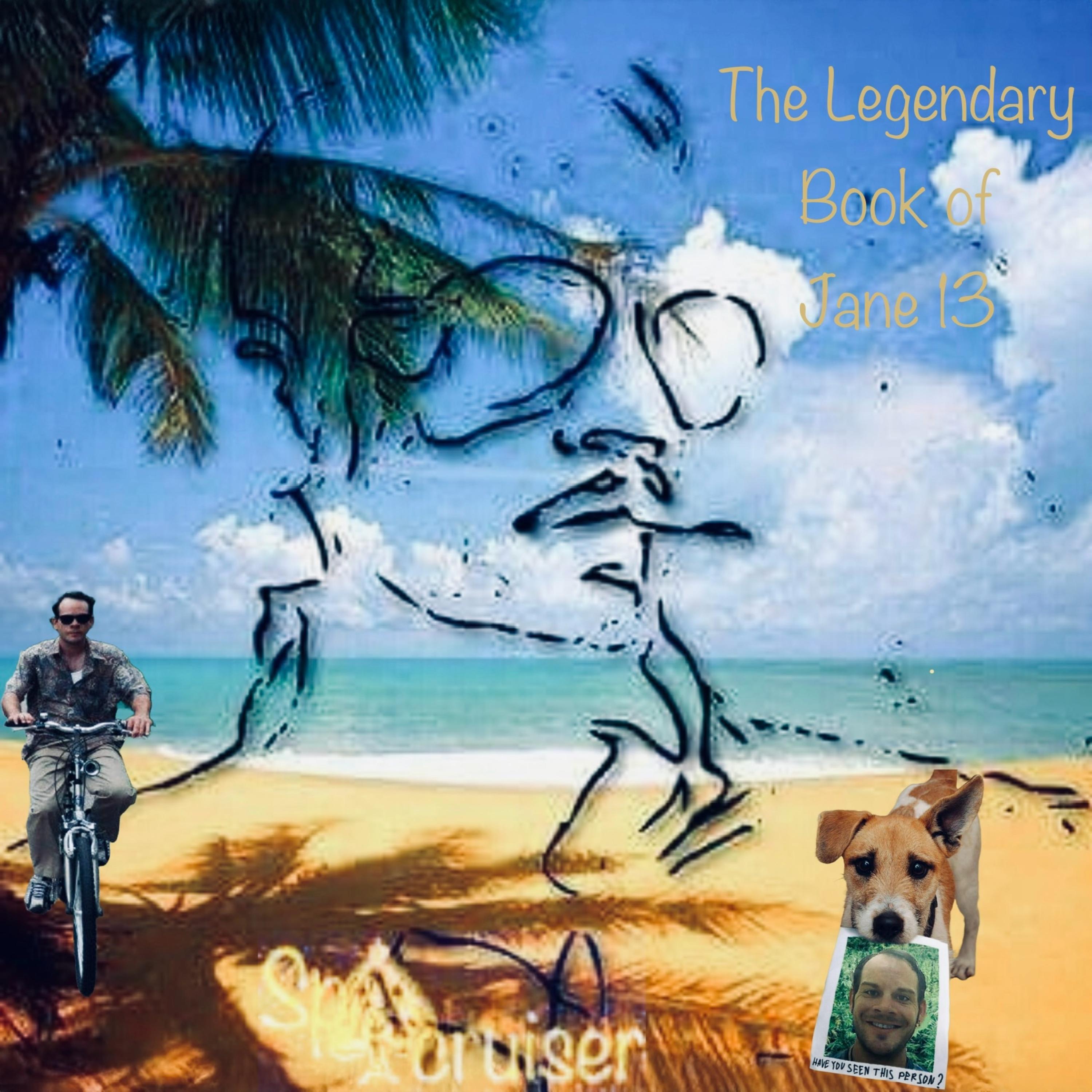 The Legendary Book of Jane 13 artwork
