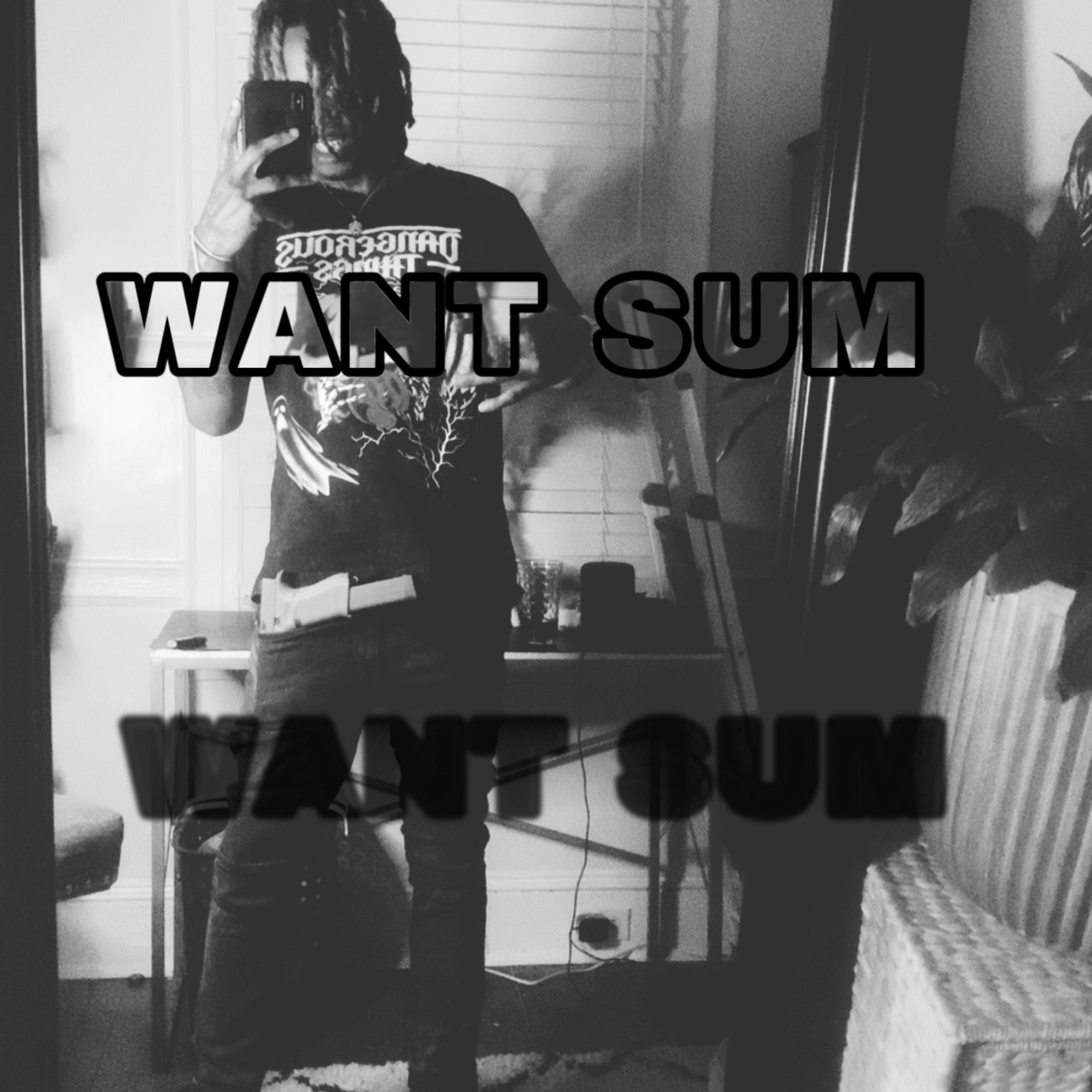 WANT SUM Freestyle artwork