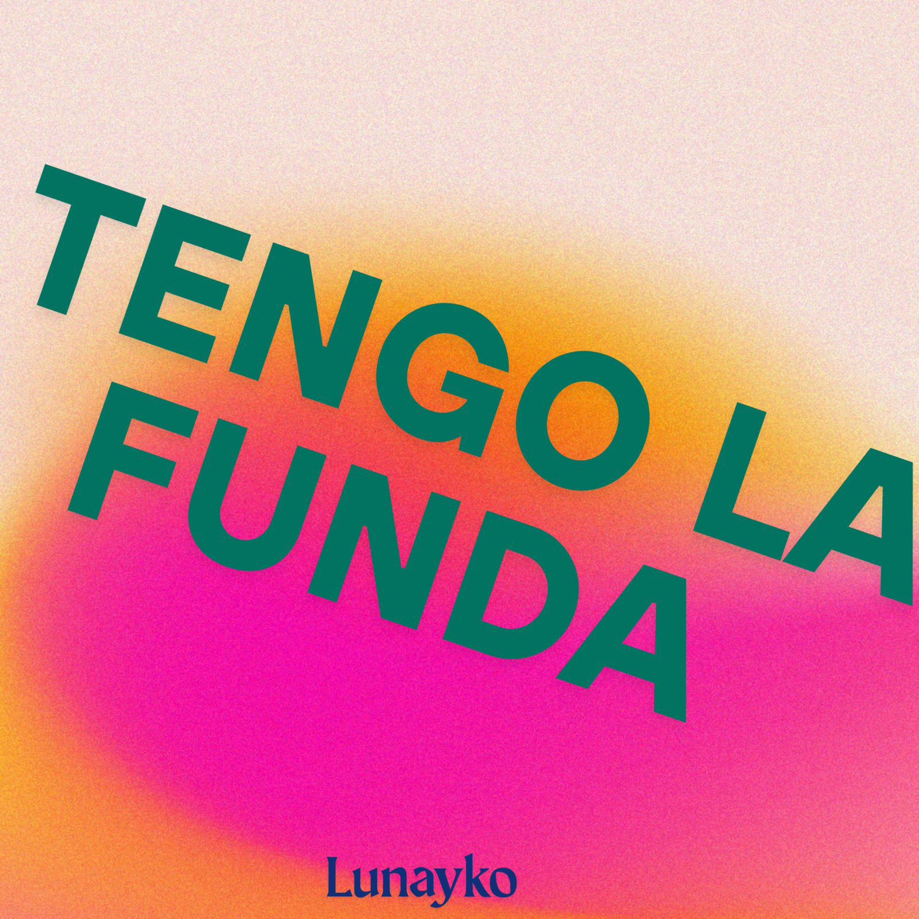 Tengo La Funda artwork