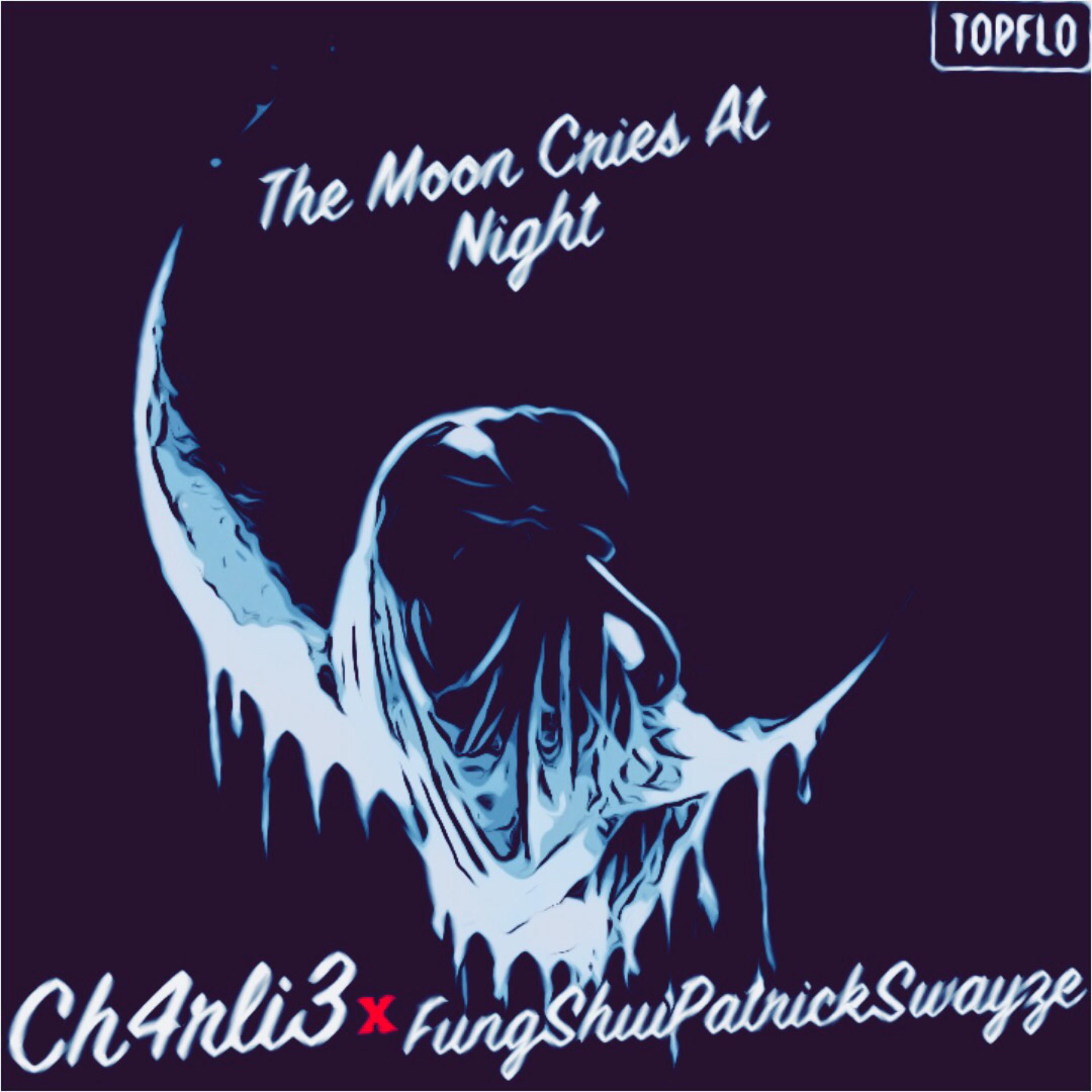 The Moon Cries At Night by FungShuiPratrickSwayze  cover art