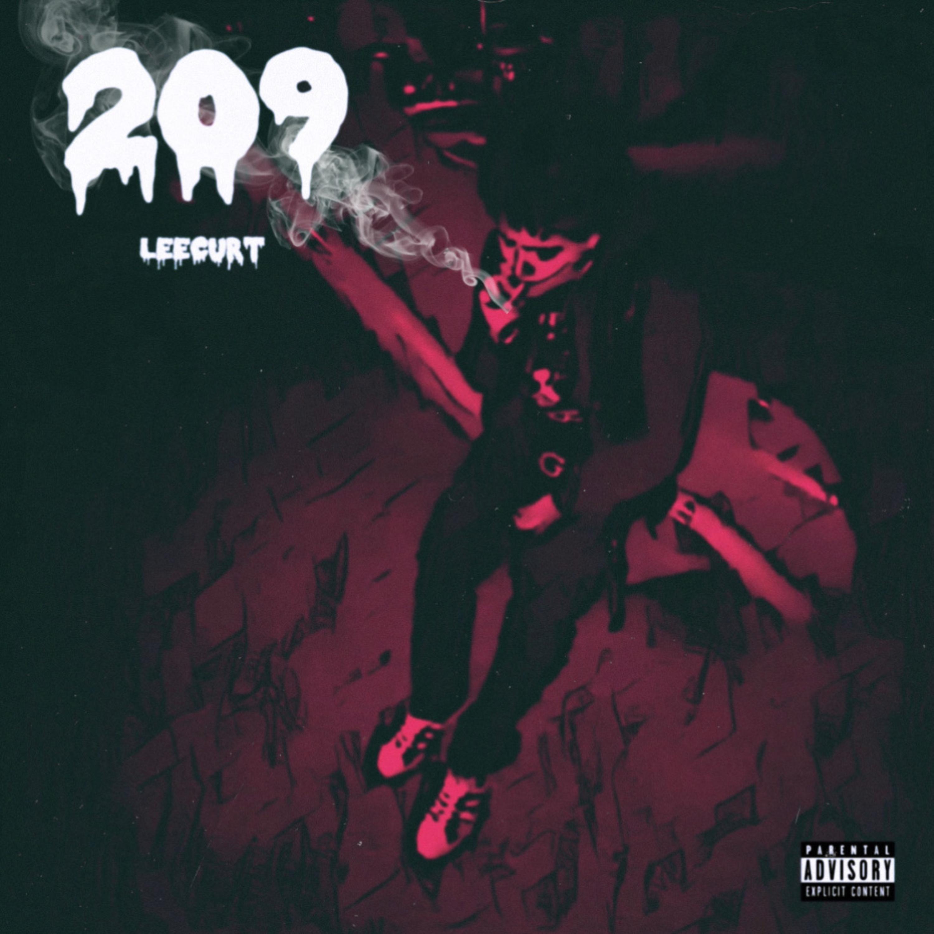 209 artwork