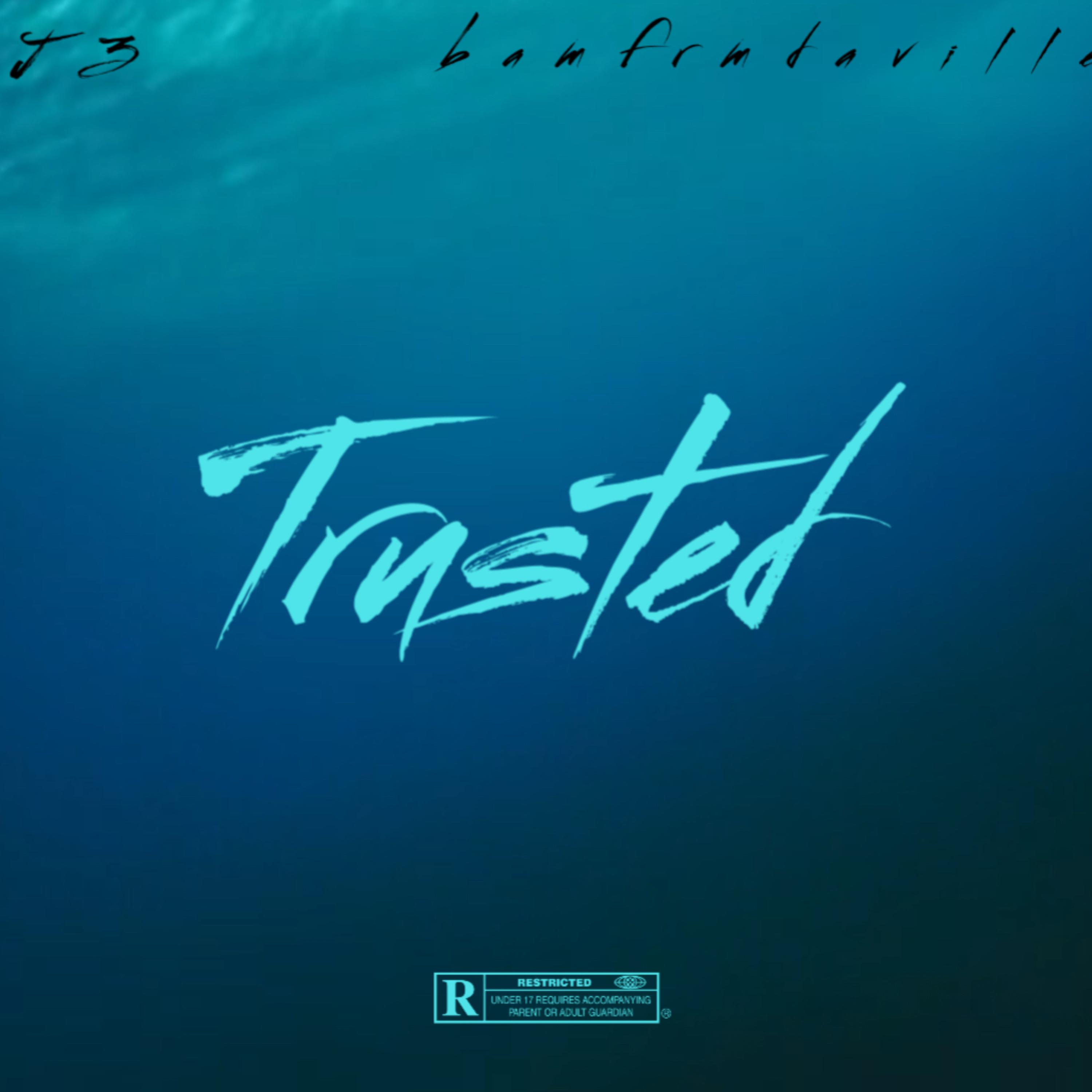 Trusted artwork