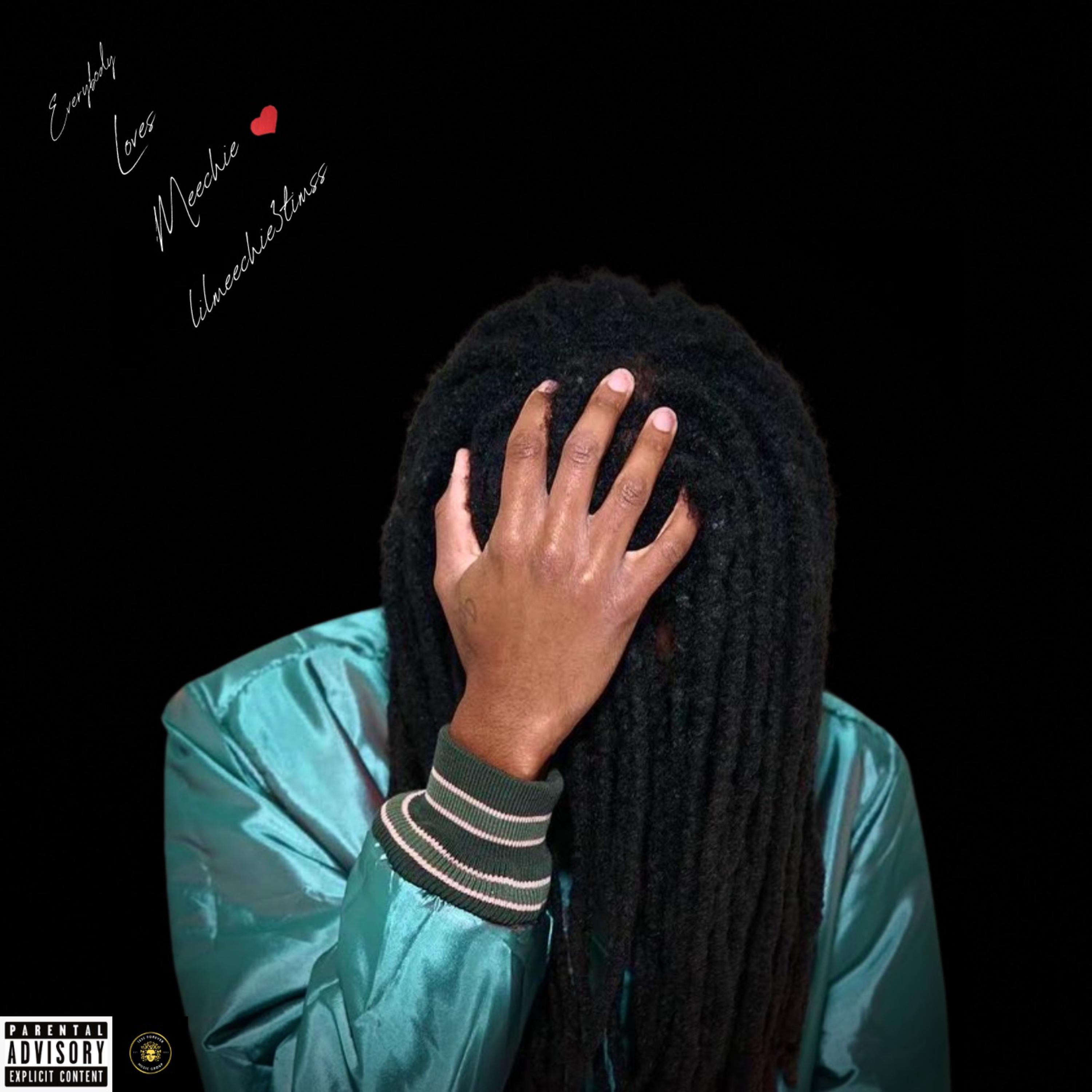 Everybody Loves Meechie artwork
