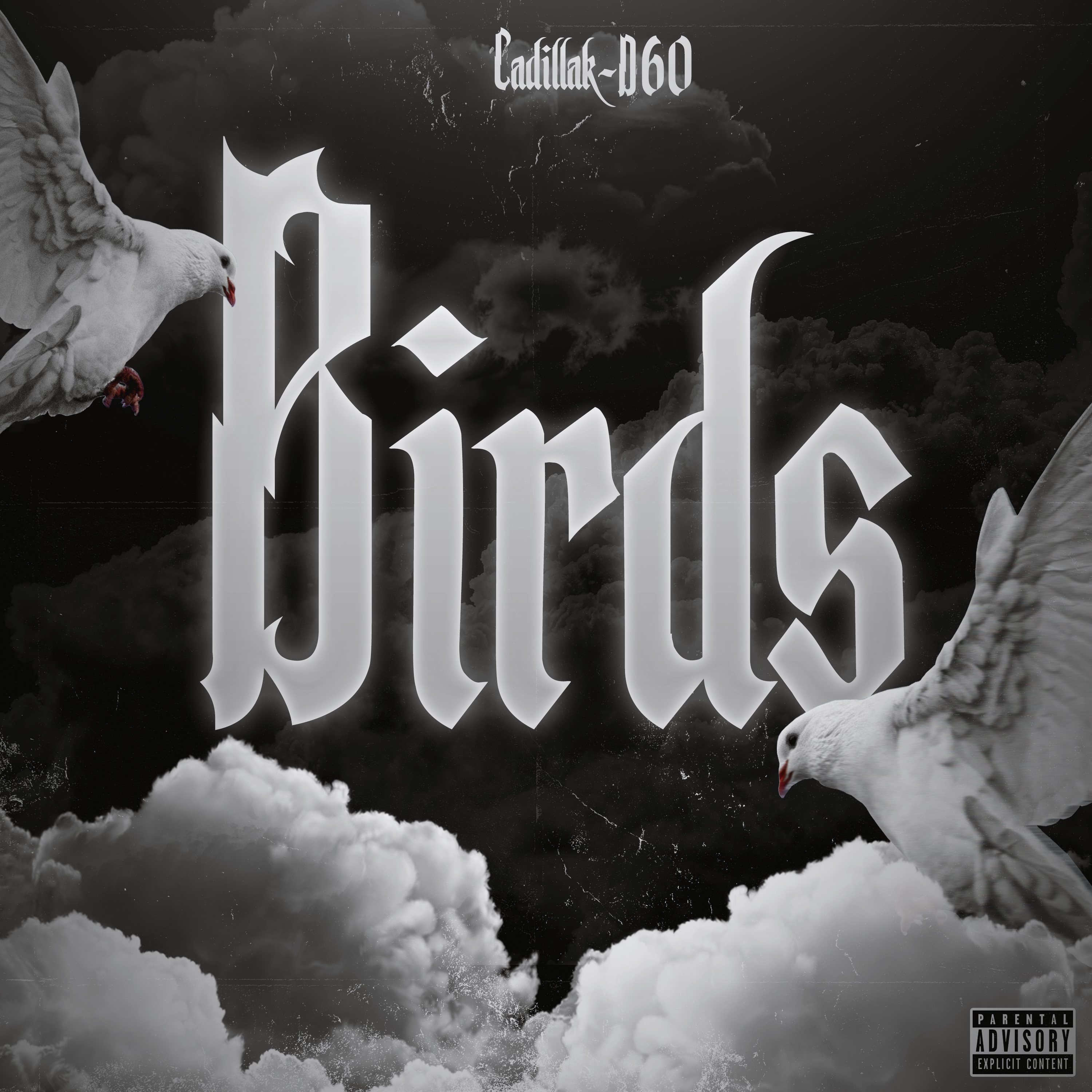 Birds artwork