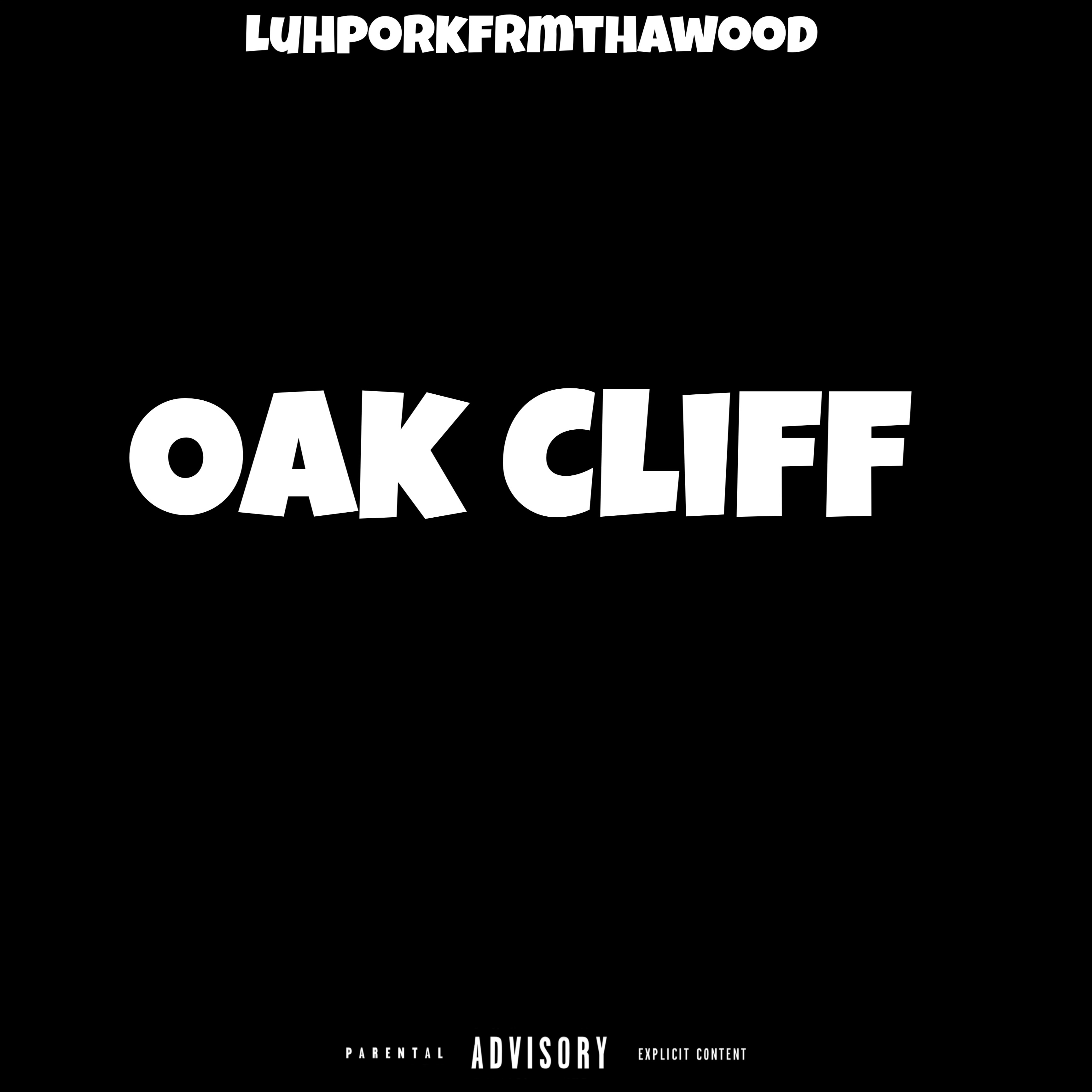 Oak Cliff artwork