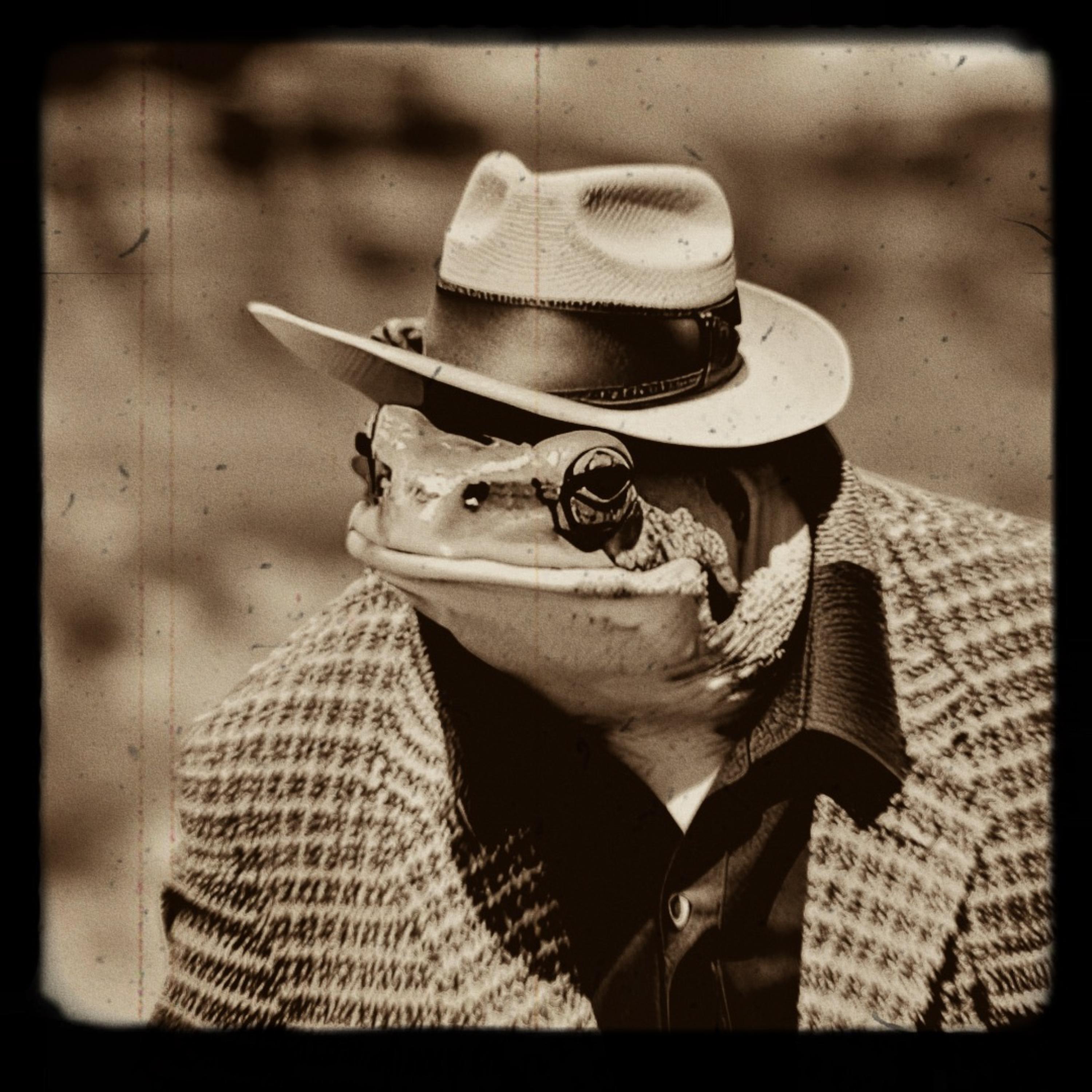 Frog Killa artwork