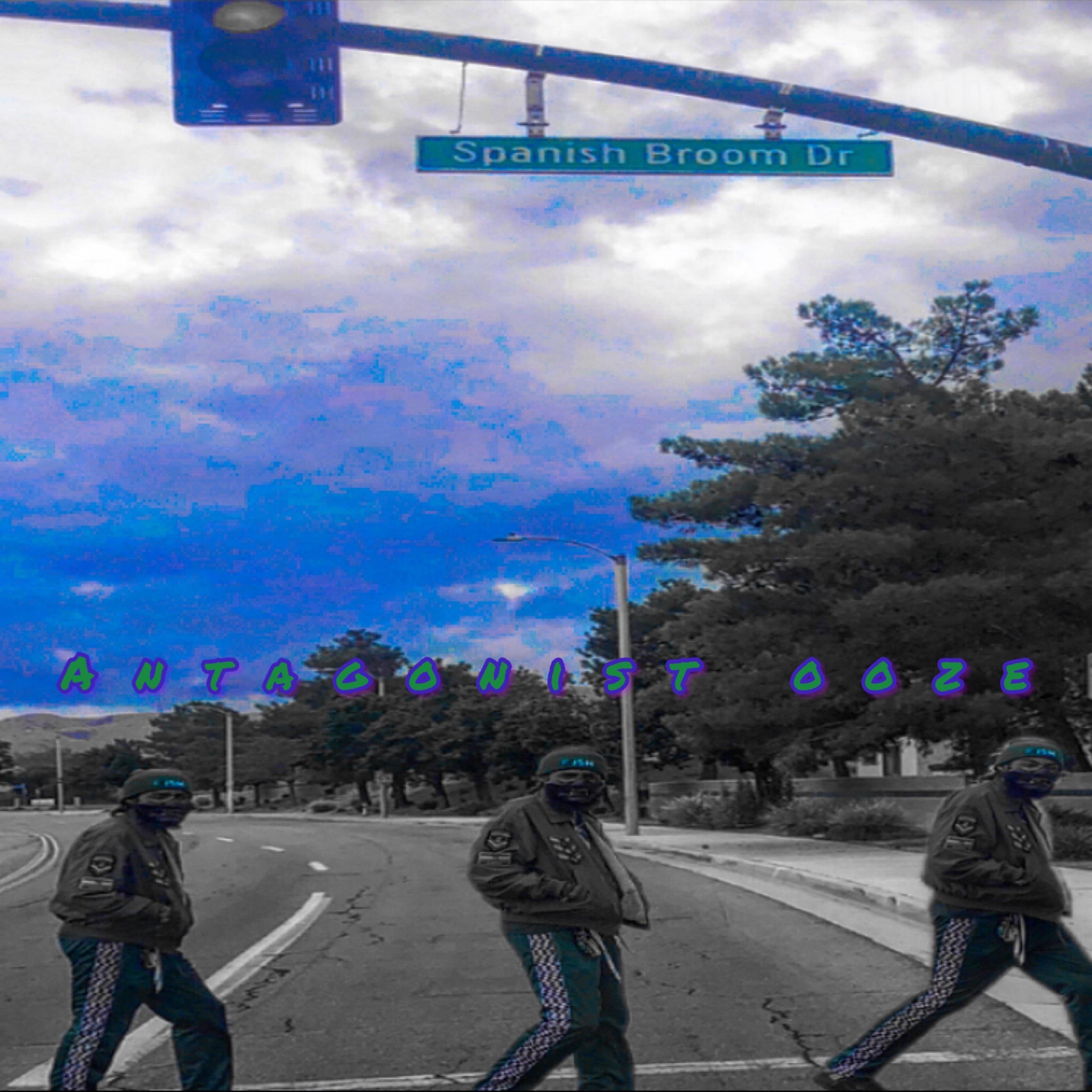 SPANISH BROOM 2.0 artwork