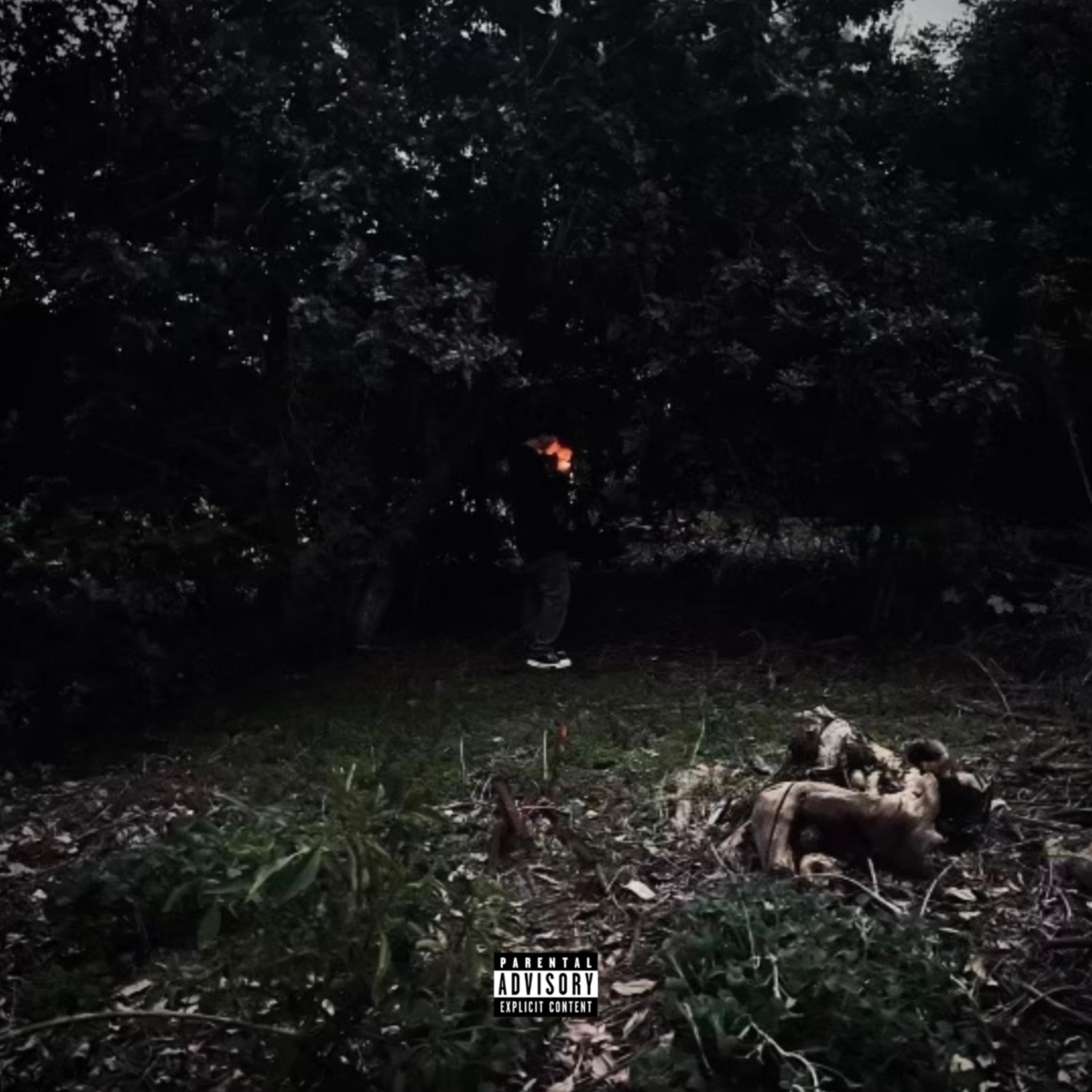 Til I Die artwork
