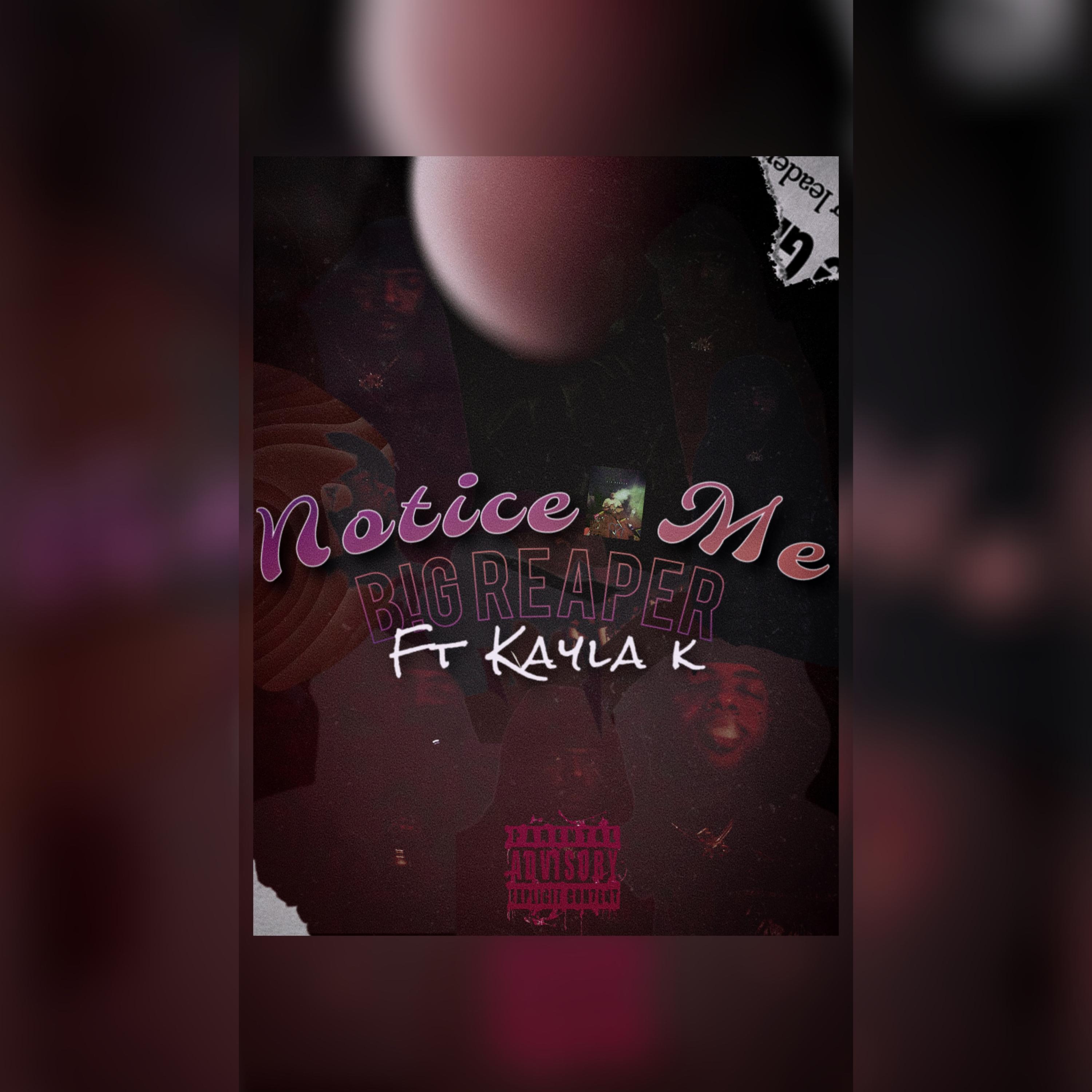 Notice Me artwork