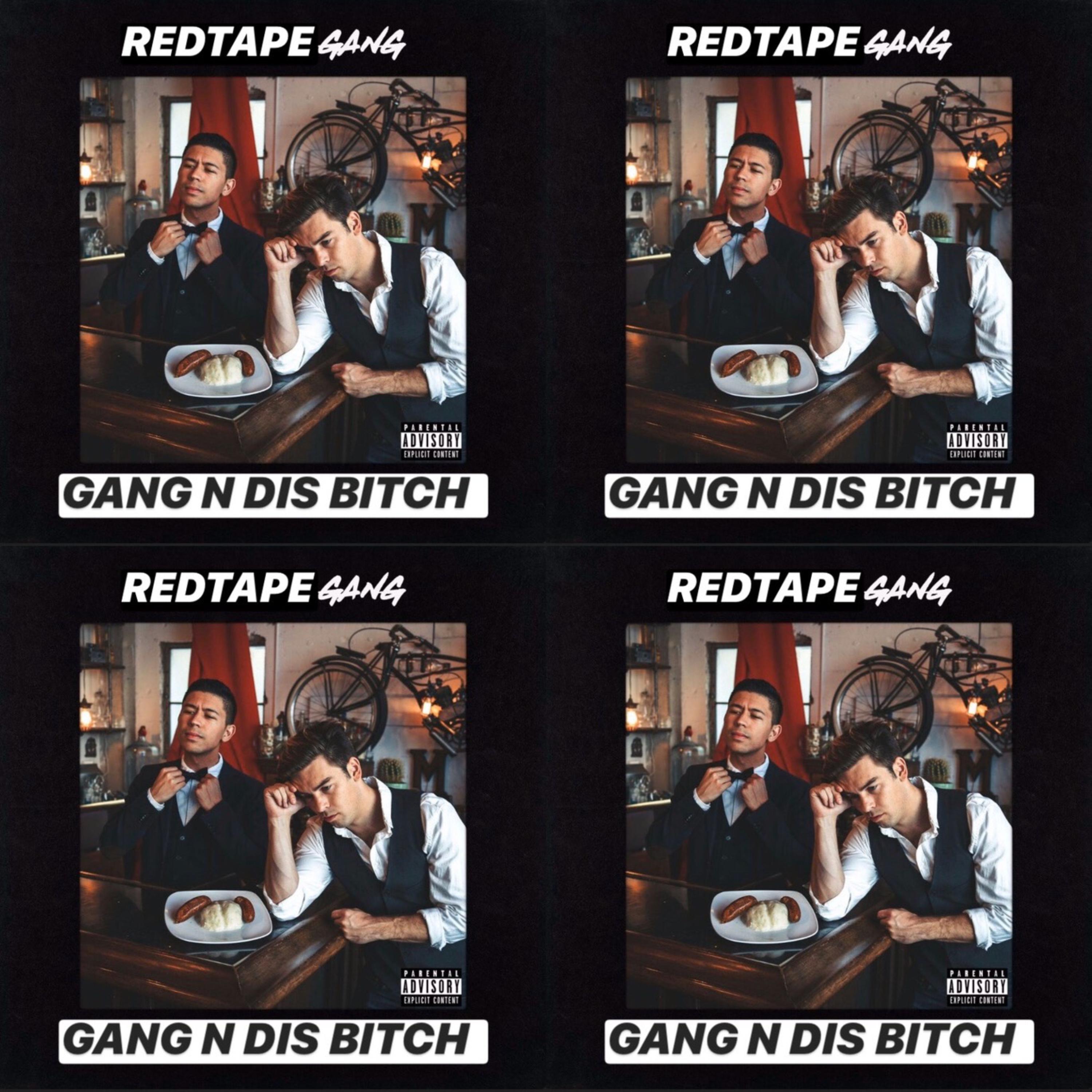 Gang N Dis Bitch artwork