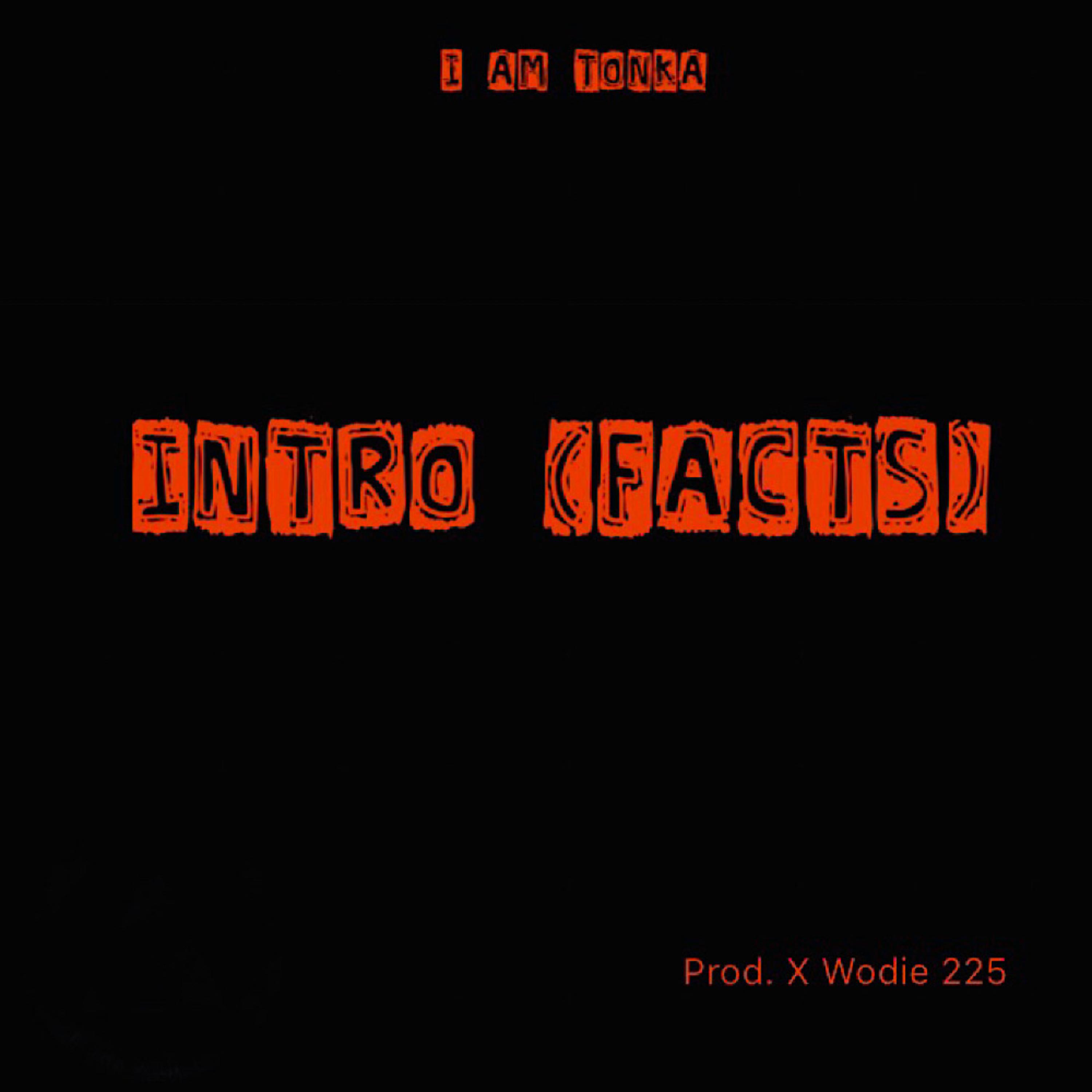Intro (Facts) artwork