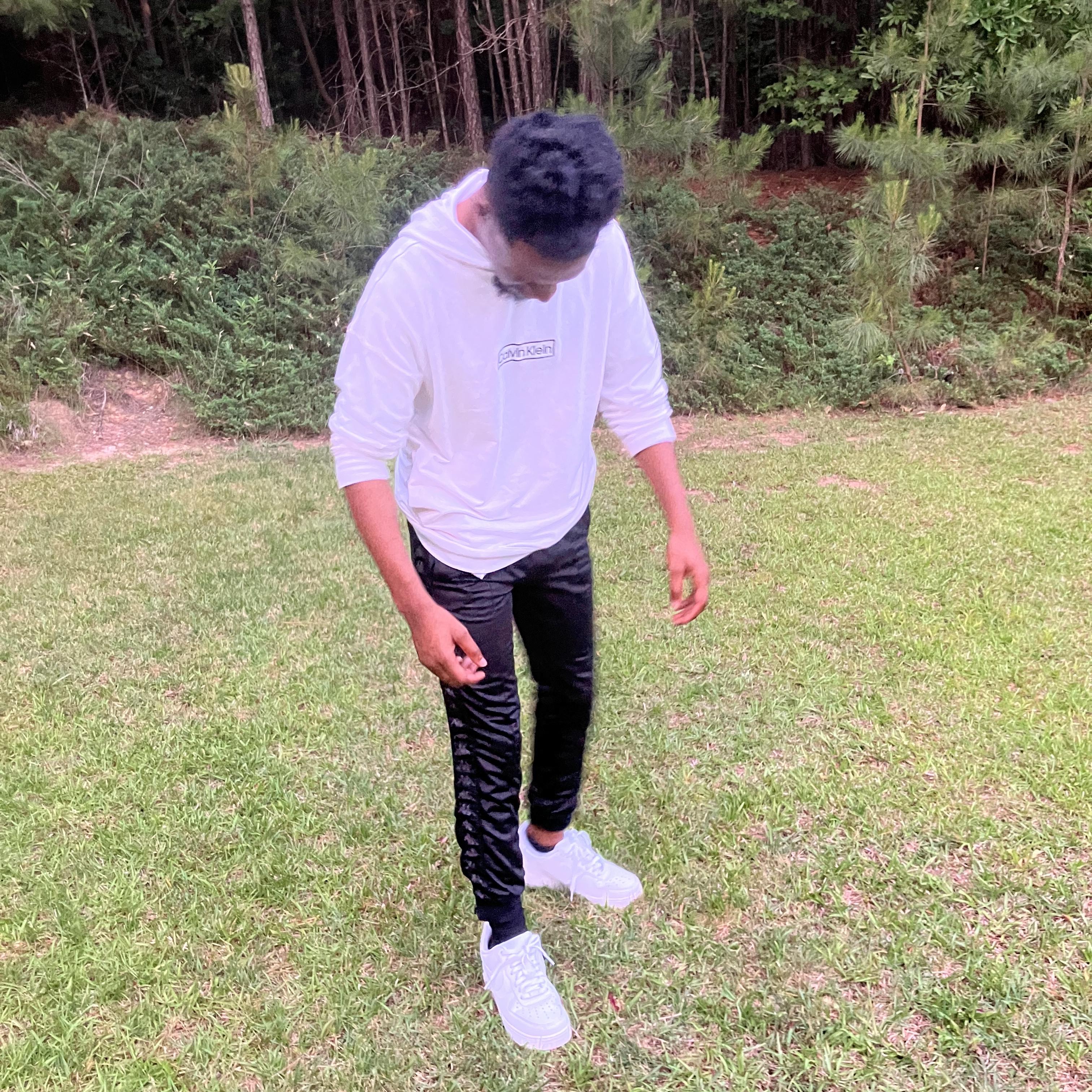 The Downloaded Version artwork